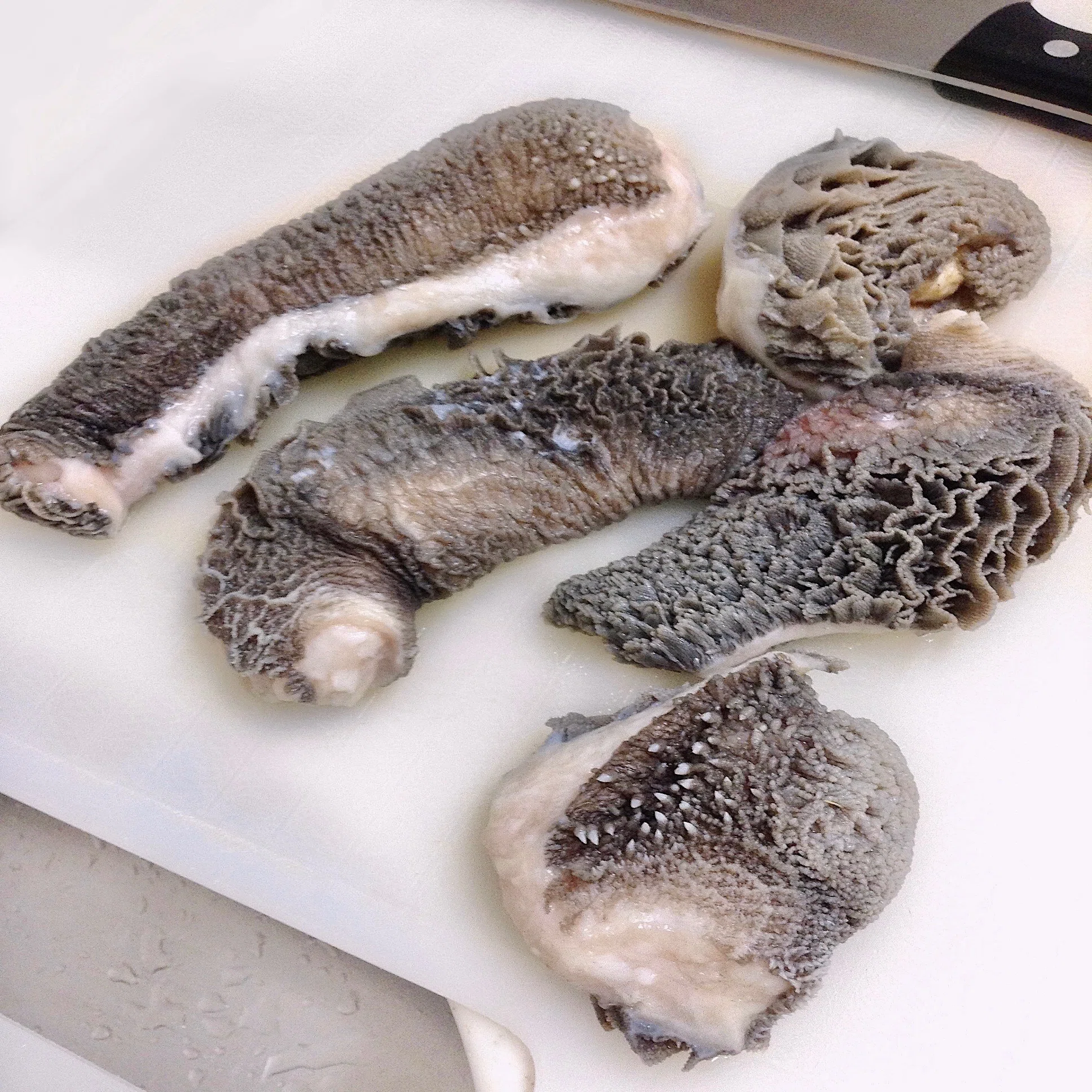 牛 の 胃