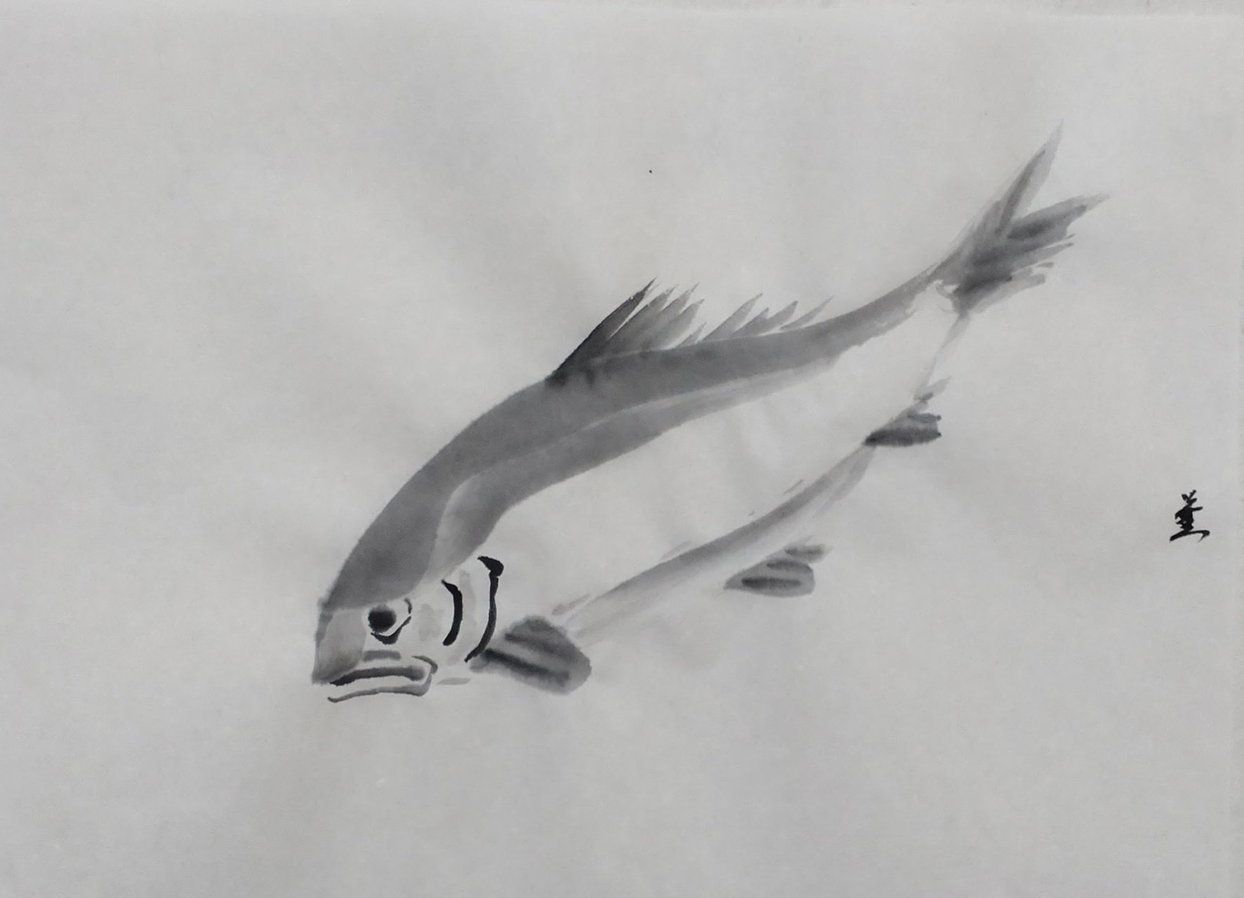 水墨画 魚と海産物 手描き 水墨画 魚と海産物 手描き sh0036_6.jpg