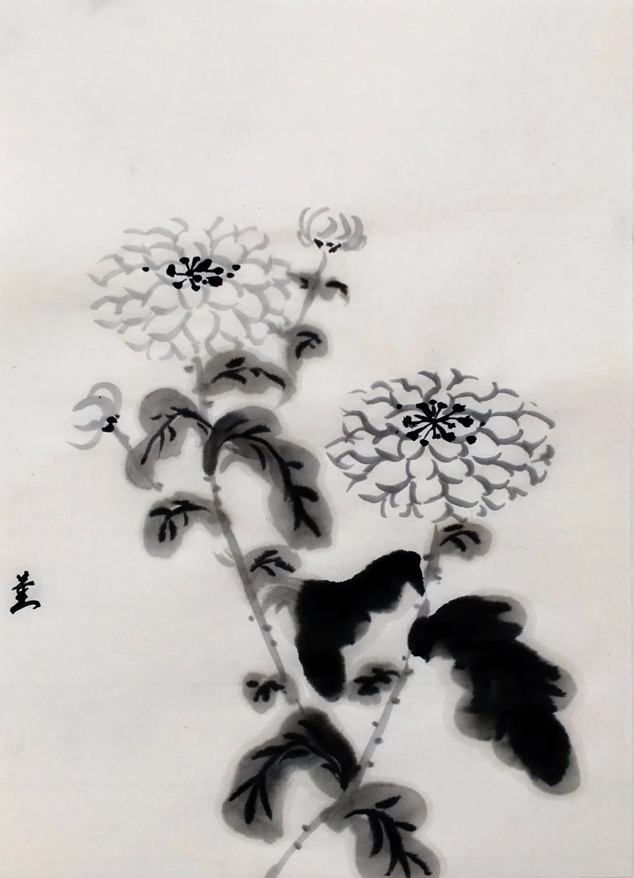 墨で魚とか蘭とか｜KaoRu IsjDha