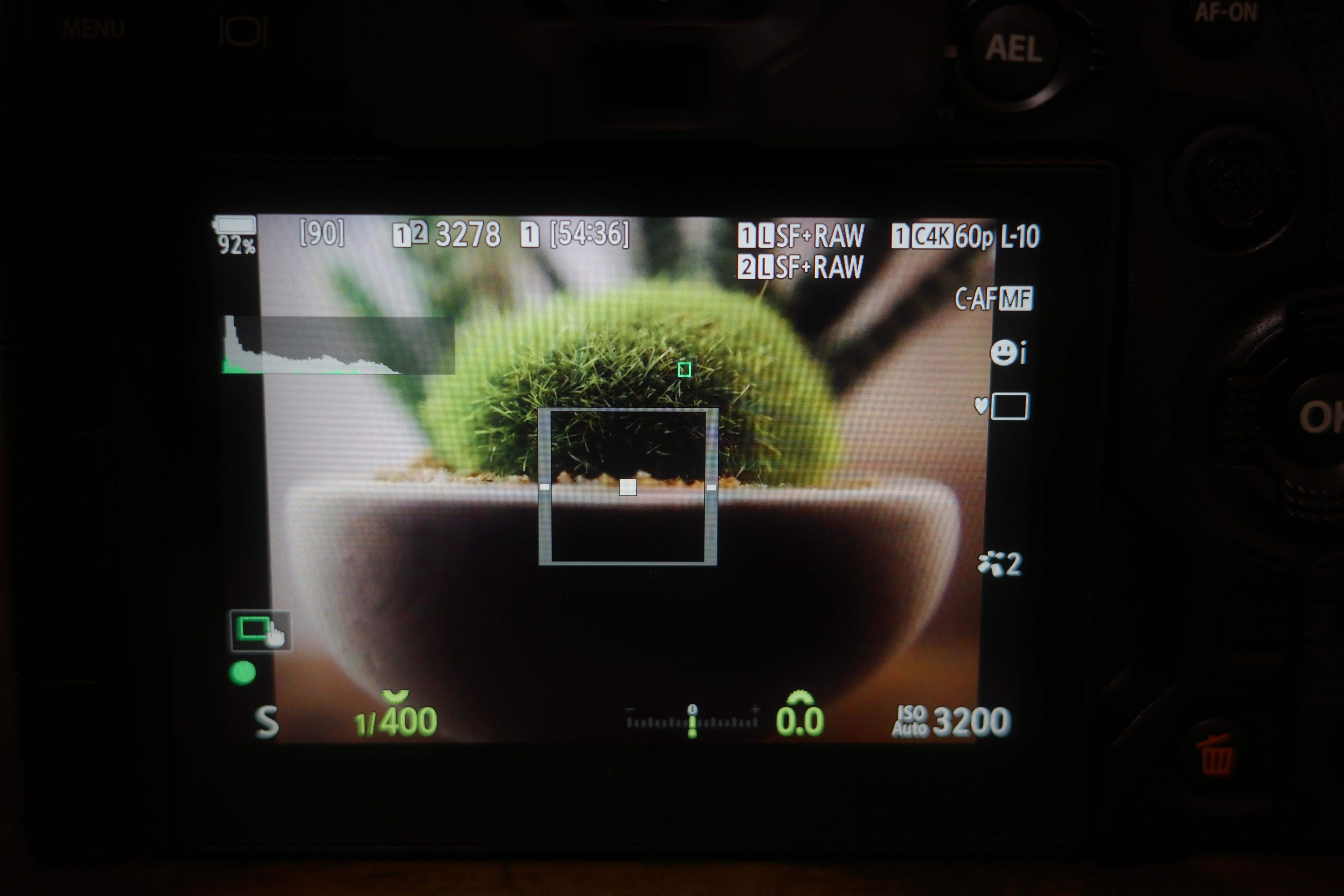 機材紹介⑦LEICA DG SUMMILUX 9mm / F1.7 ASPH.｜4/3 Photos