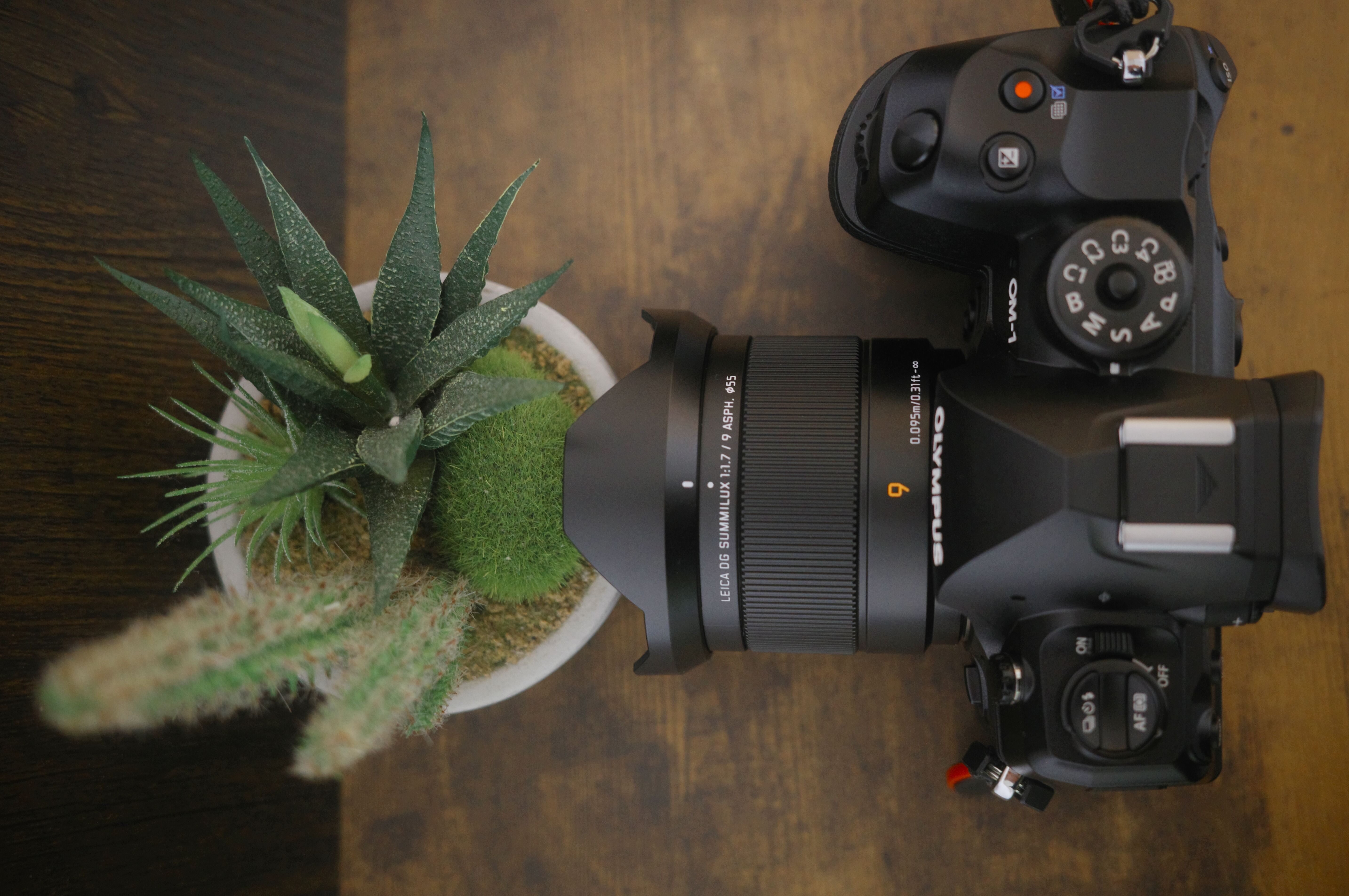 機材紹介⑦LEICA DG SUMMILUX 9mm / F1.7 ASPH.|4/3 Photos 機材紹介⑦LEICA DG SUMMILUX 9mm / F1.7 ASPH.|4/3 Photos