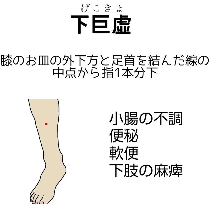 花粉症養生|一歩堂|note
