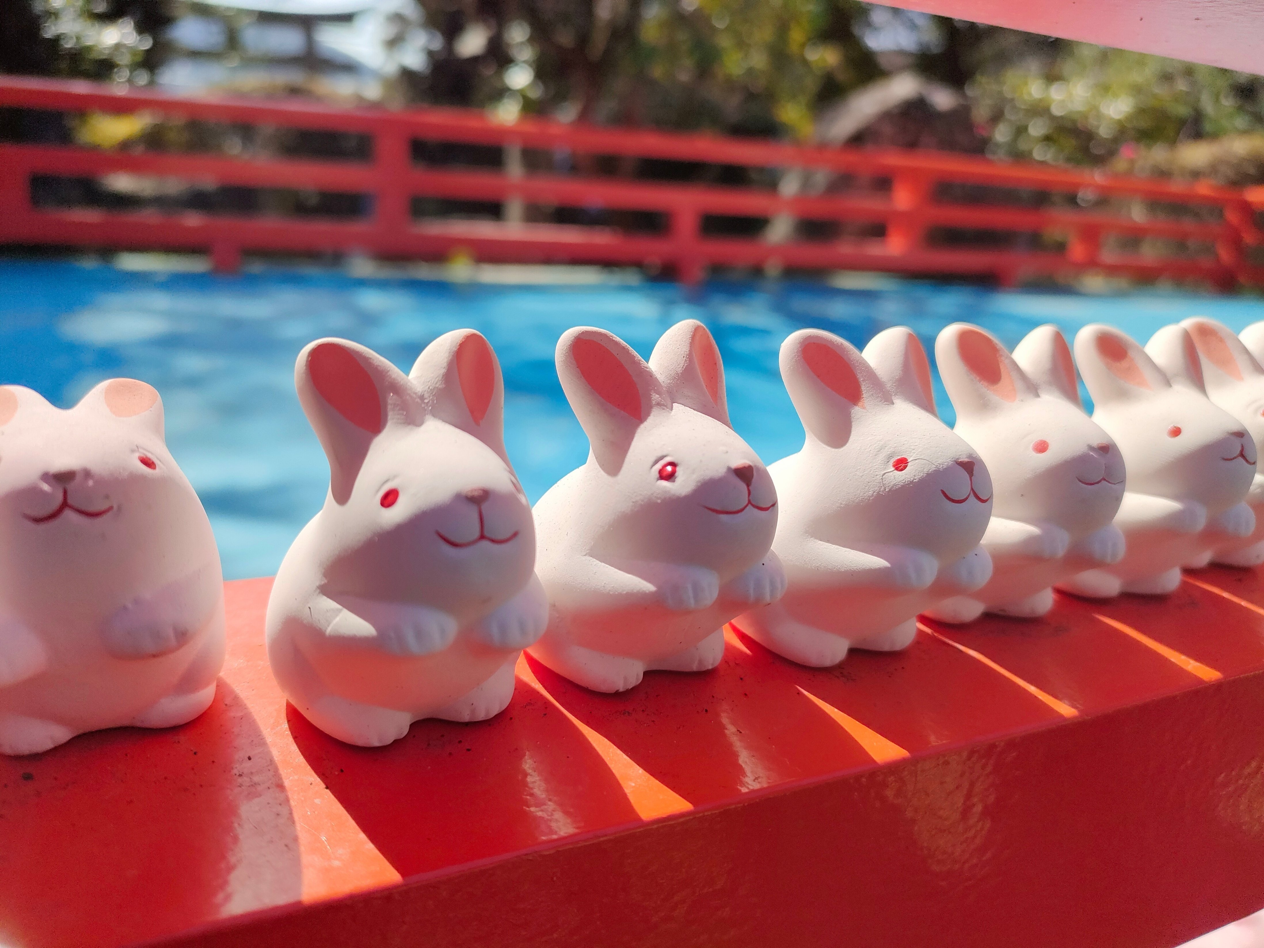 うさぎをめぐる冒険｜ちまき