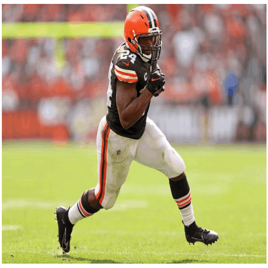 競技: アメフト/NFL #1 | 茶橙のイデアの犬｜Mondgiro