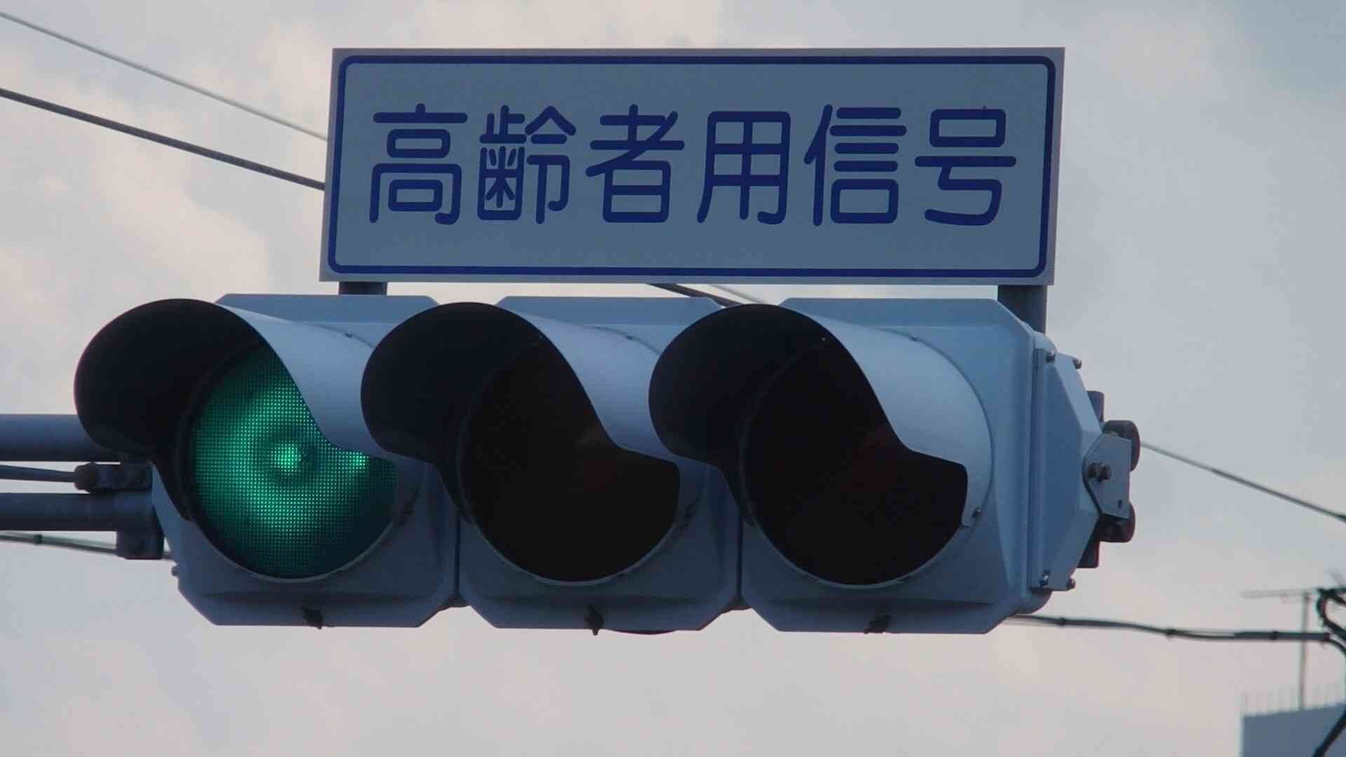 信号機学/05図鑑