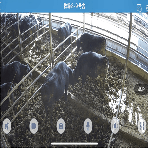 若者が憧れる“儲かる畜産農業”の実現！【株式会社ゆうぼく】｜TRY