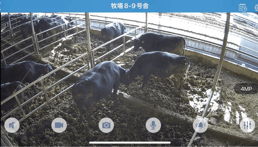 若者が憧れる“儲かる畜産農業”の実現！【株式会社ゆうぼく】｜TRY