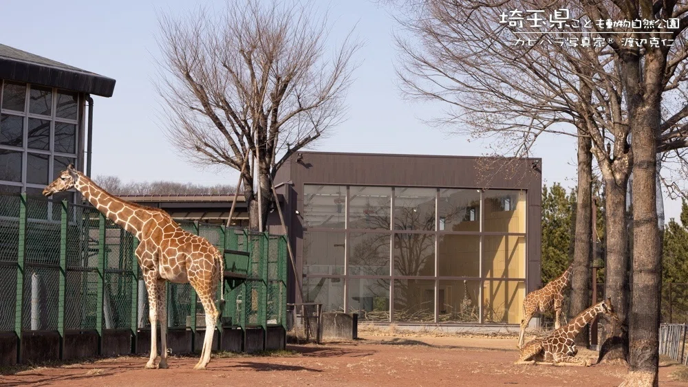 園名から想像した広さと楽しさが何倍も！埼玉県こども動物自然公園