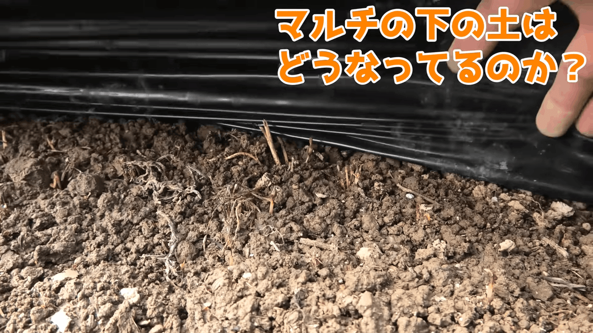 家庭菜園】土の表面がカチカチになったときの対処法についてご紹介  