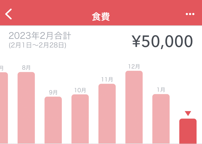 支出カテゴリの棒グラフ