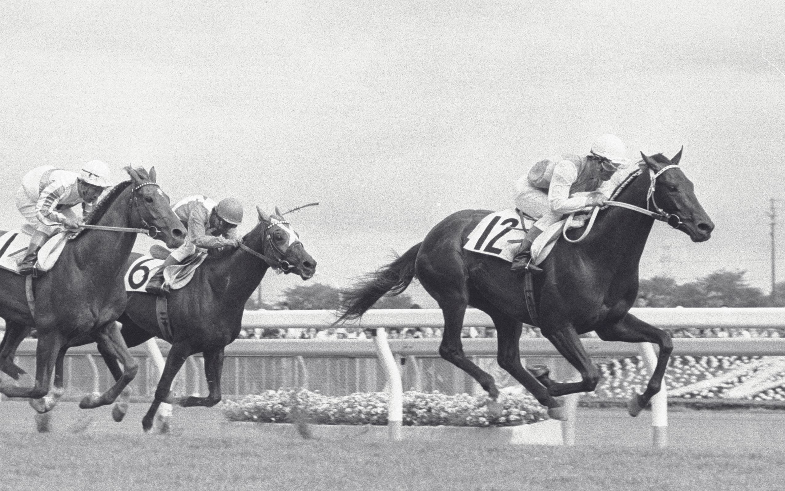 ついに実装！セオリー無視の三冠馬・ミスターシービーを東スポで