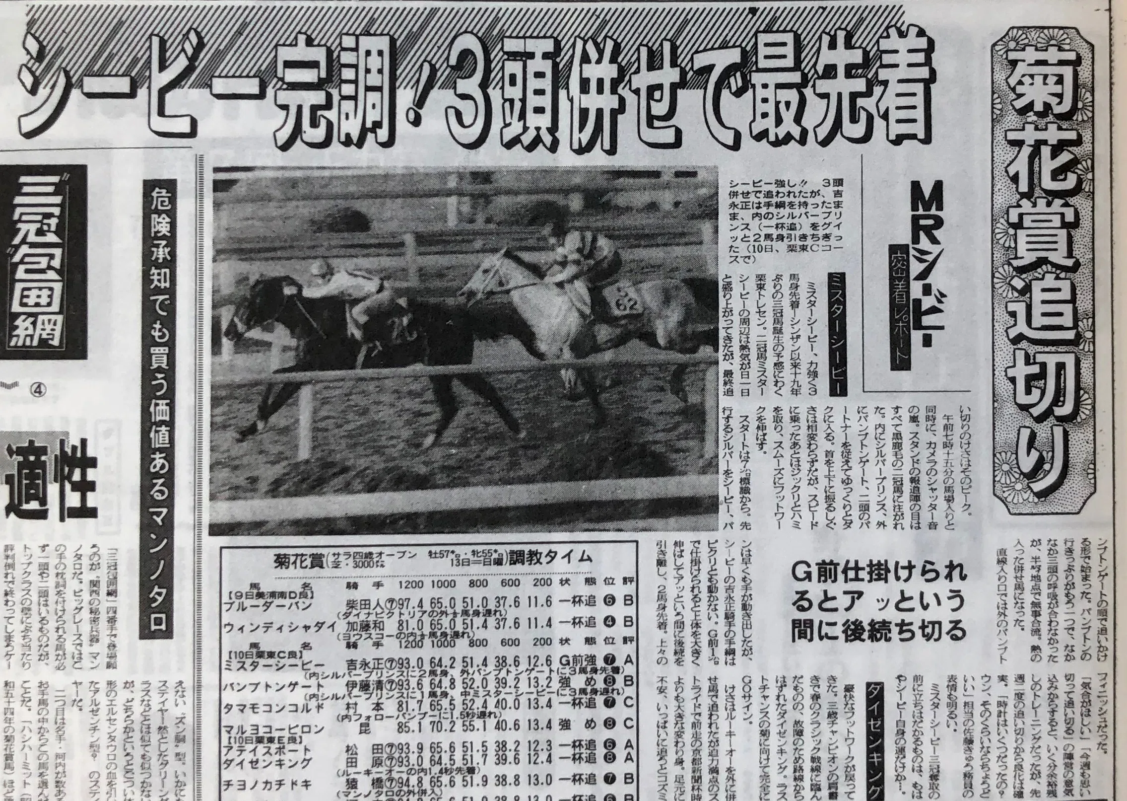 馬着A.B