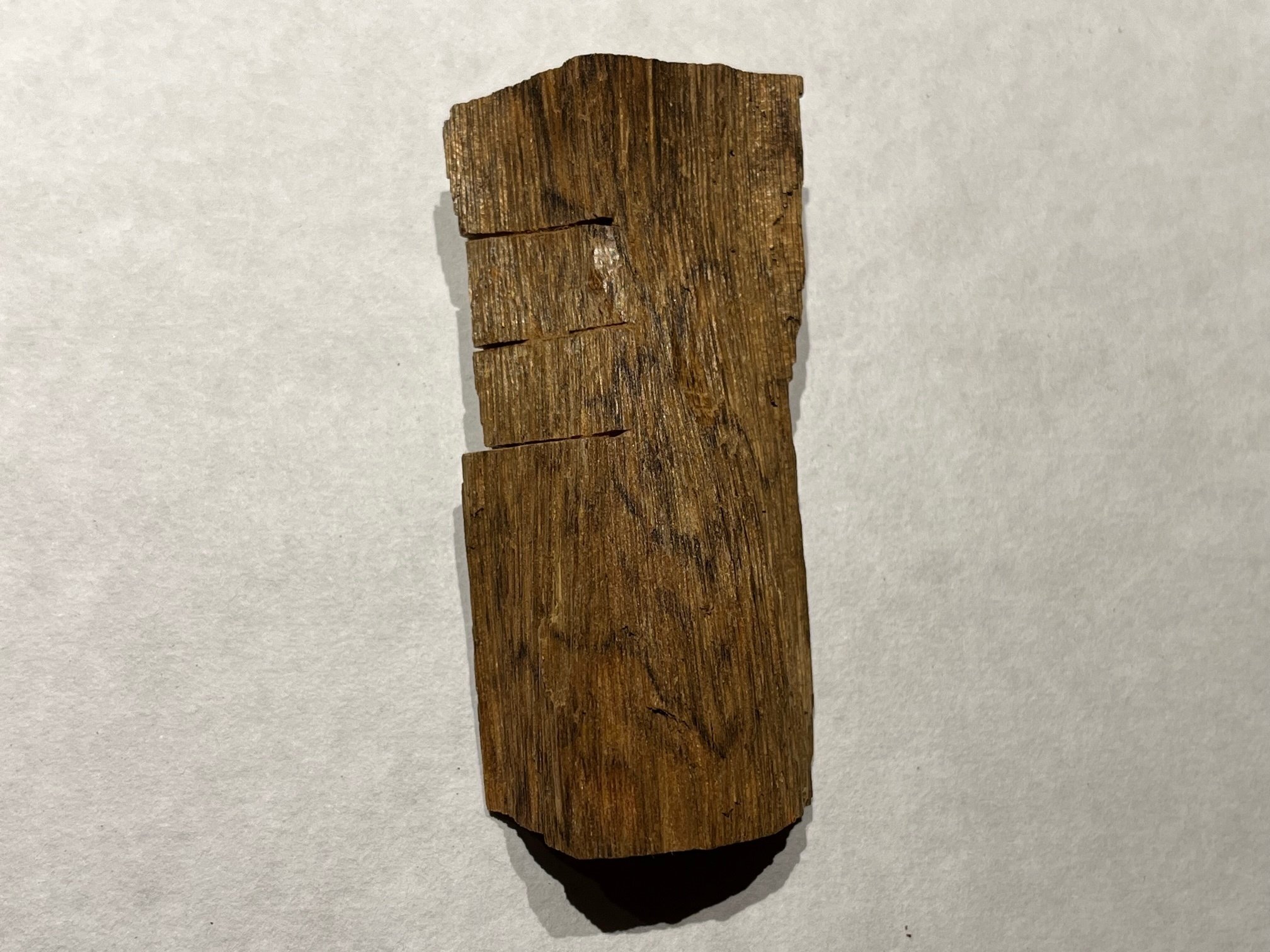 古伽羅の「仮銘 過ぐる春」が、いよいよ3月の推奨香木として登場します