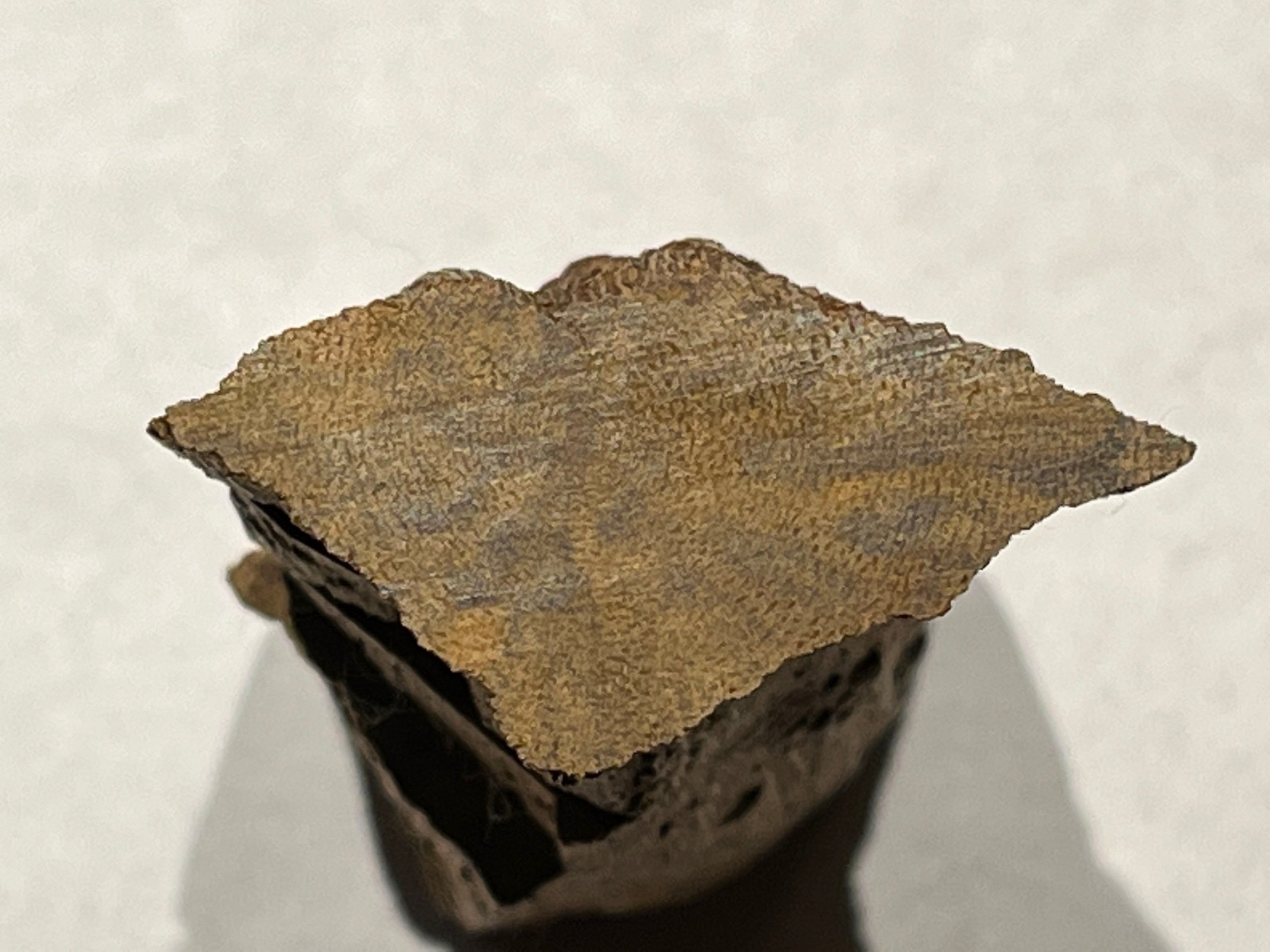 古伽羅の「仮銘 過ぐる春」が、いよいよ3月の推奨香木として登場します