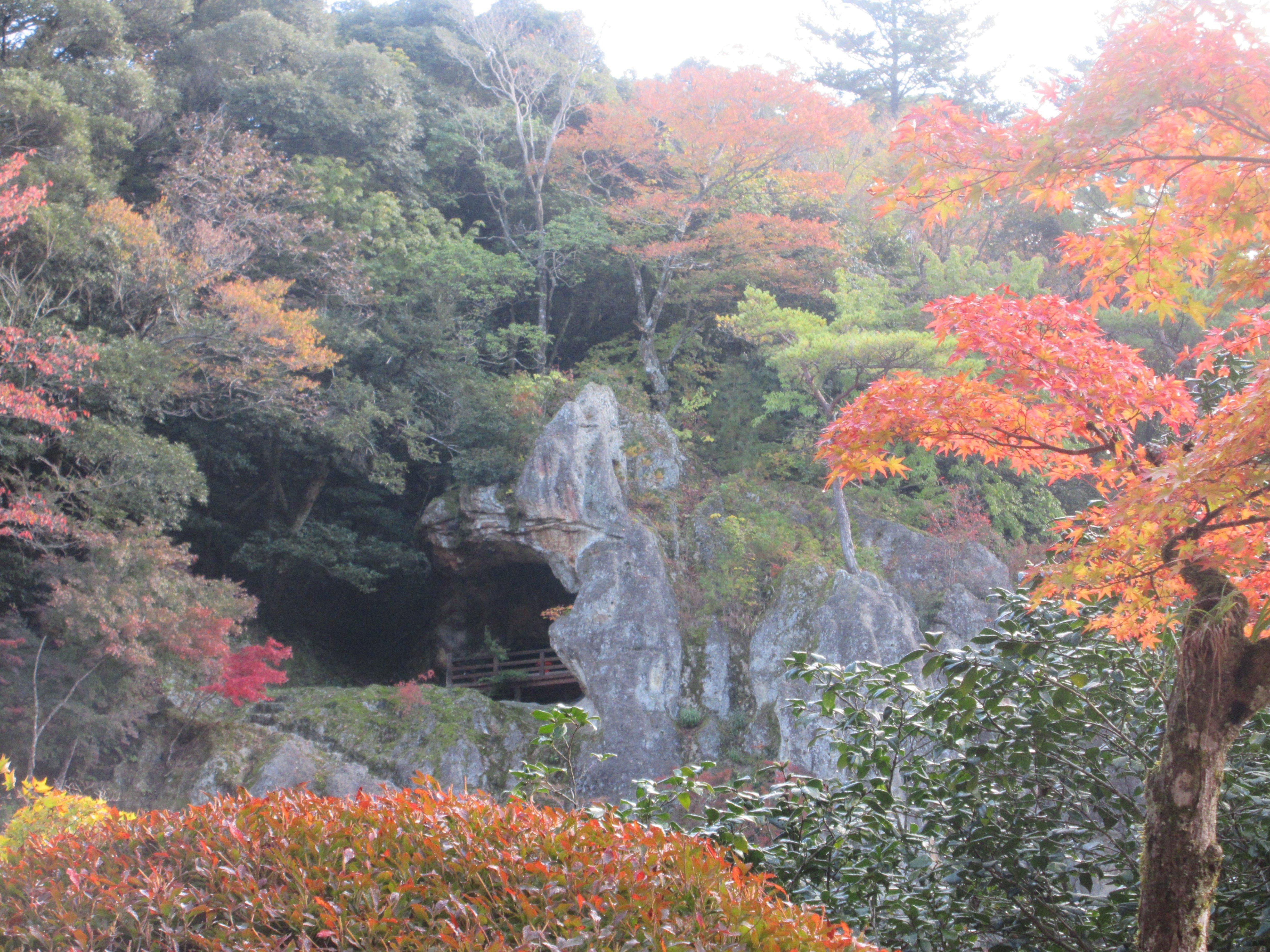 白山神社と被差別部落 白山神社と被差別部落(本田豊 著) / 古本、中古本、古書籍の通販