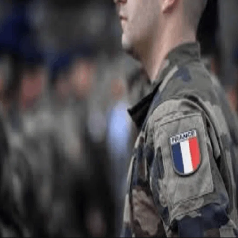大摩邇(おおまに) : フランス陸軍将校より…