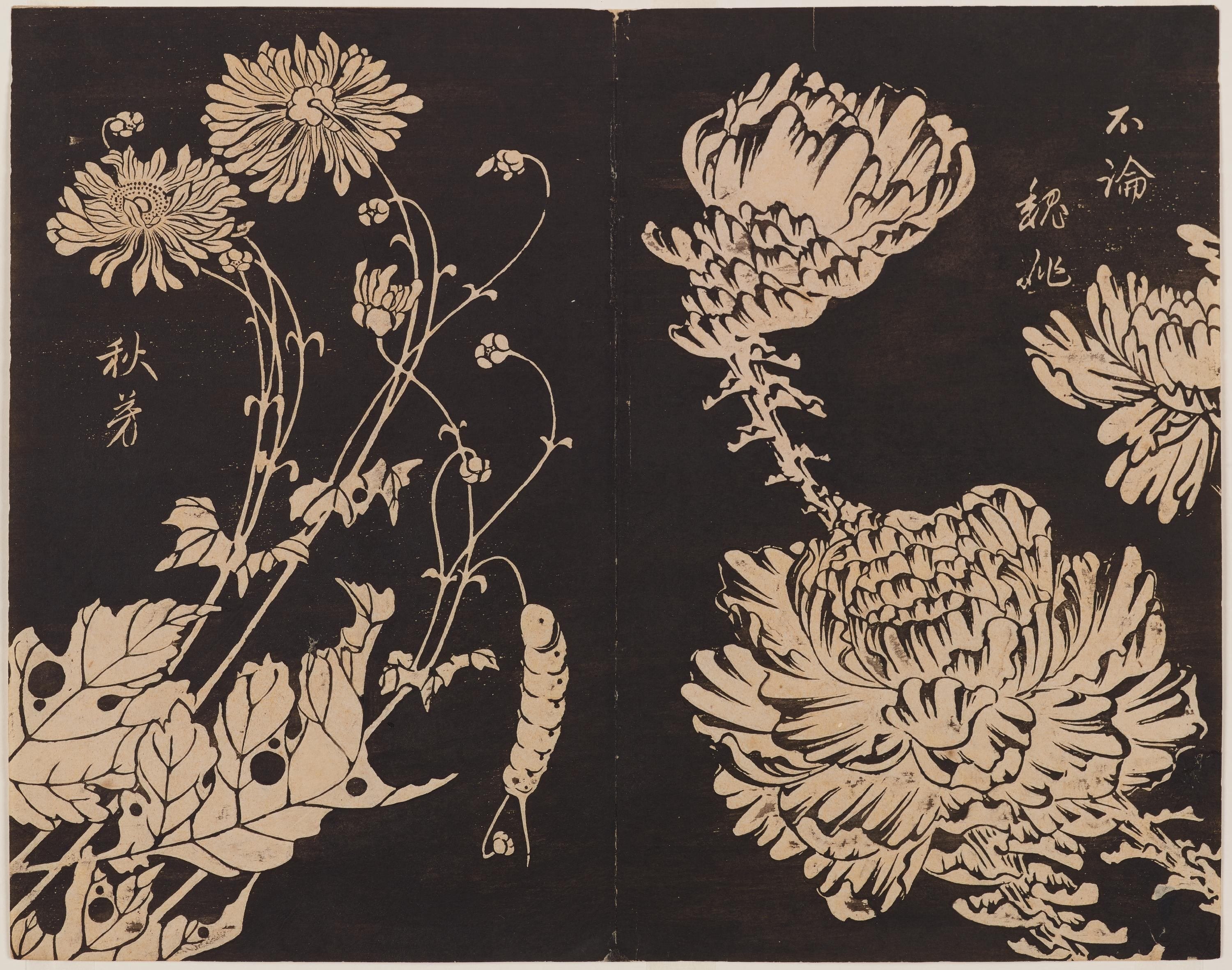 最終価格!伊藤若冲 版画 玄甫瑶華 ① 版画額装 - www.top4all.pl
