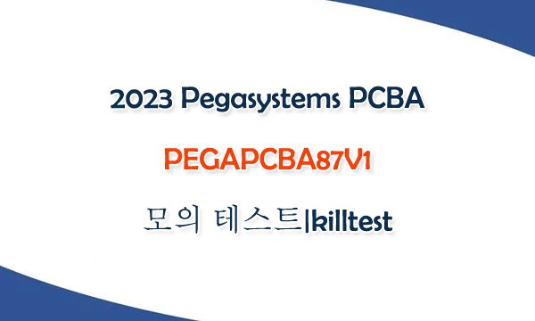 PEGACPSA23V1 Fragenkatalog