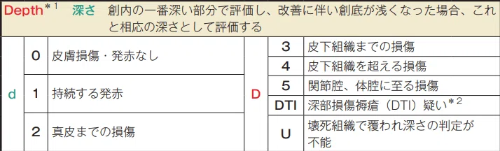 褥瘡状態評価スケール DESIGN-R 2020｜ともゆき