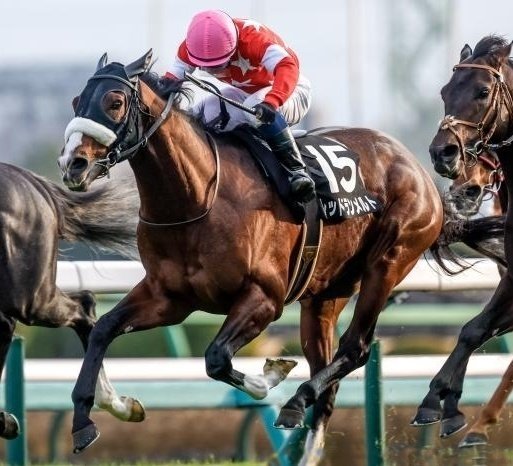 【小倉大賞典(G3)】~予想篇|Haya|note