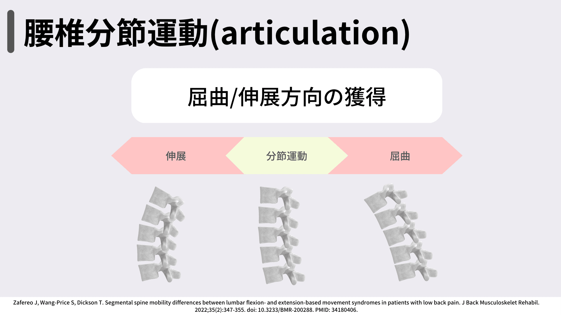 今のうちに知りたい「腰椎分節運動」｜小林龍樹＠理学療法士