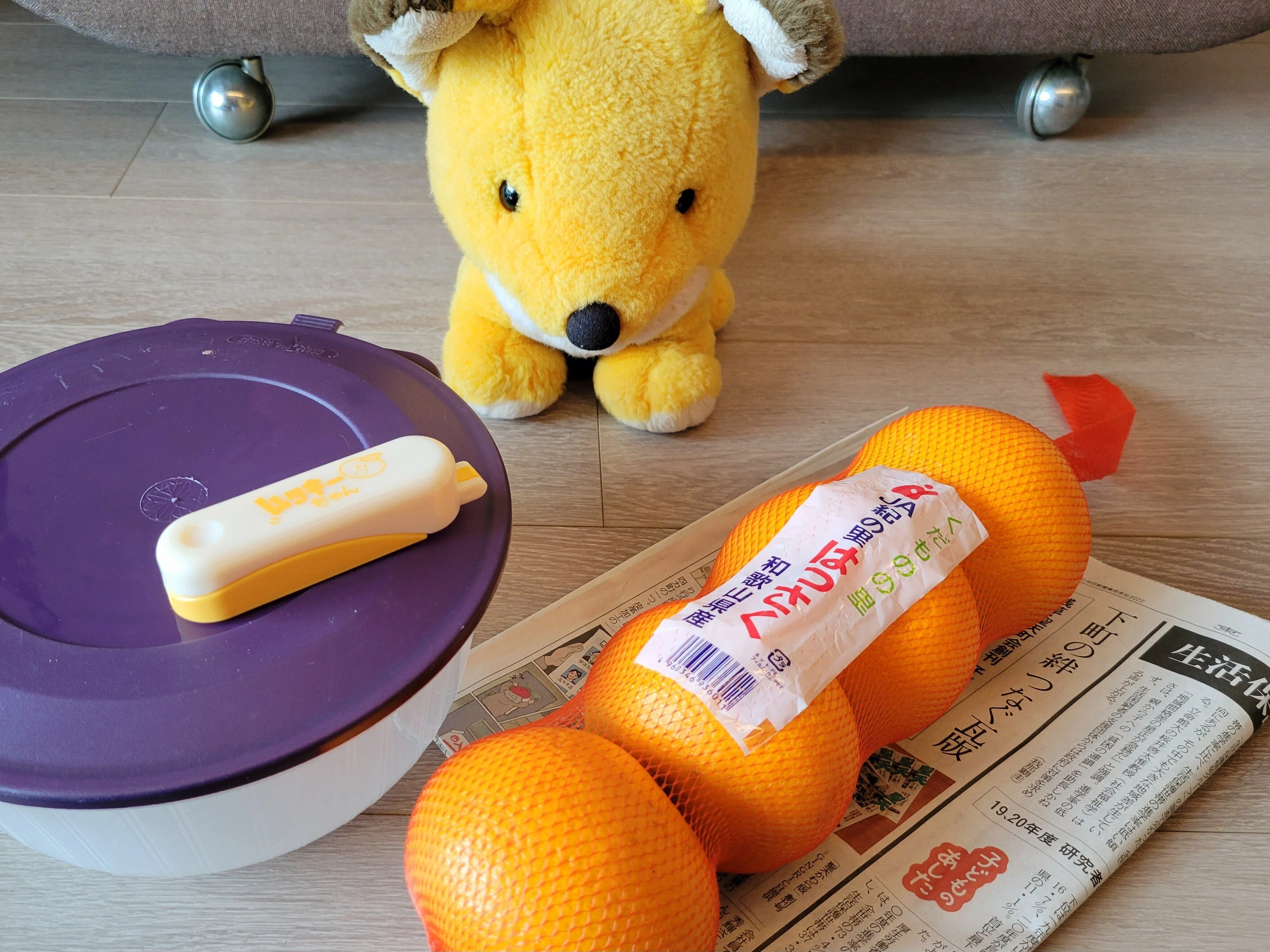 ハッサクのむきプロ日記 2023年2月19日 16玉目🍊✨｜Yukihiro🧸