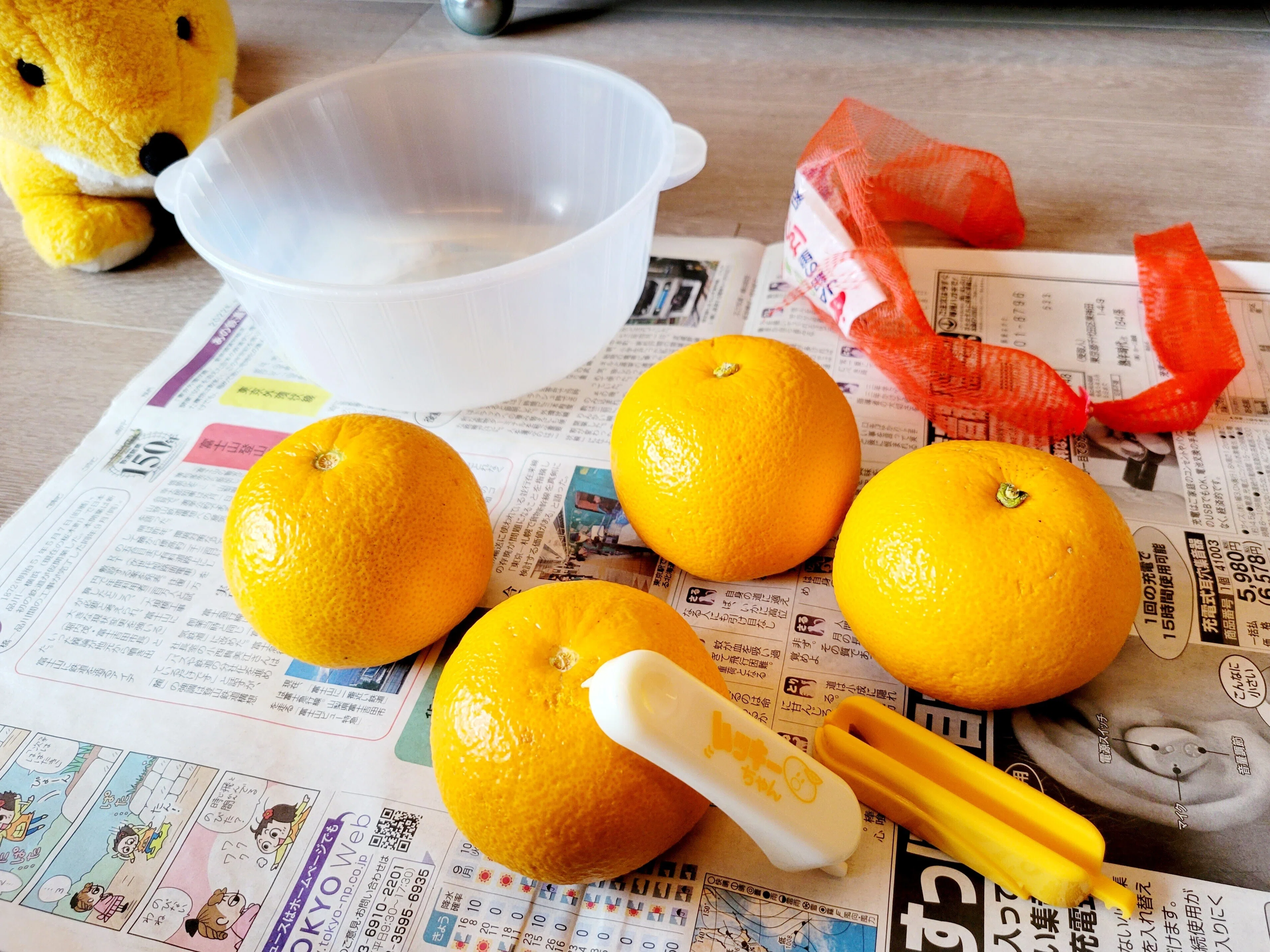 ハッサクのむきプロ日記 2023年2月19日 16玉目🍊✨｜Yukihiro🧸