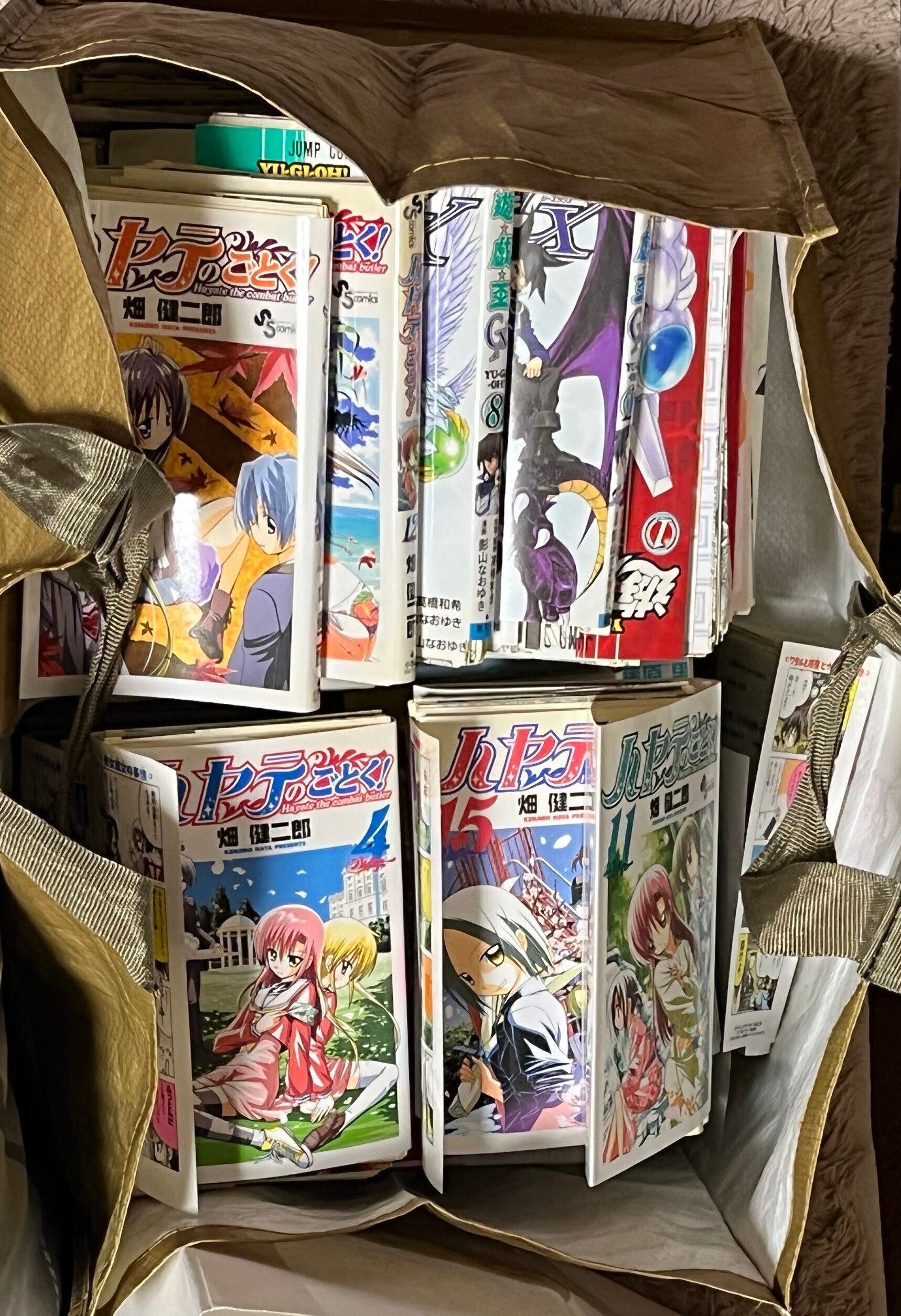 漫画本の自炊したはなし｜watariko