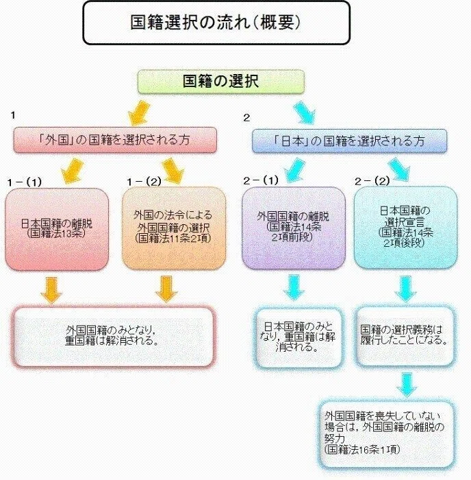 国籍選択の宣言|karasu