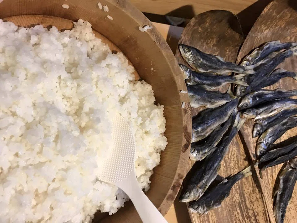 長良川の幻の発酵食「鮎の熟れ鮨 (なれずし)」を作ってみる-後編|川のテロワール