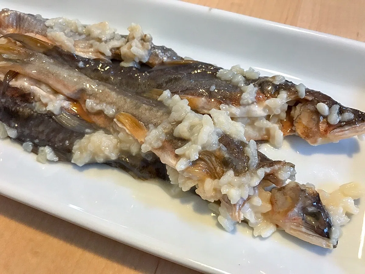長良川の幻の発酵食「鮎の熟れ鮨 (なれずし)」を作ってみる-後編|川のテロワール