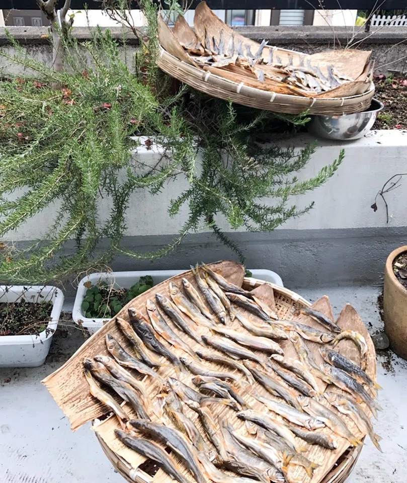 長良川の幻の発酵食「鮎の熟れ鮨 (なれずし)」を作ってみる-前編|川のテロワール