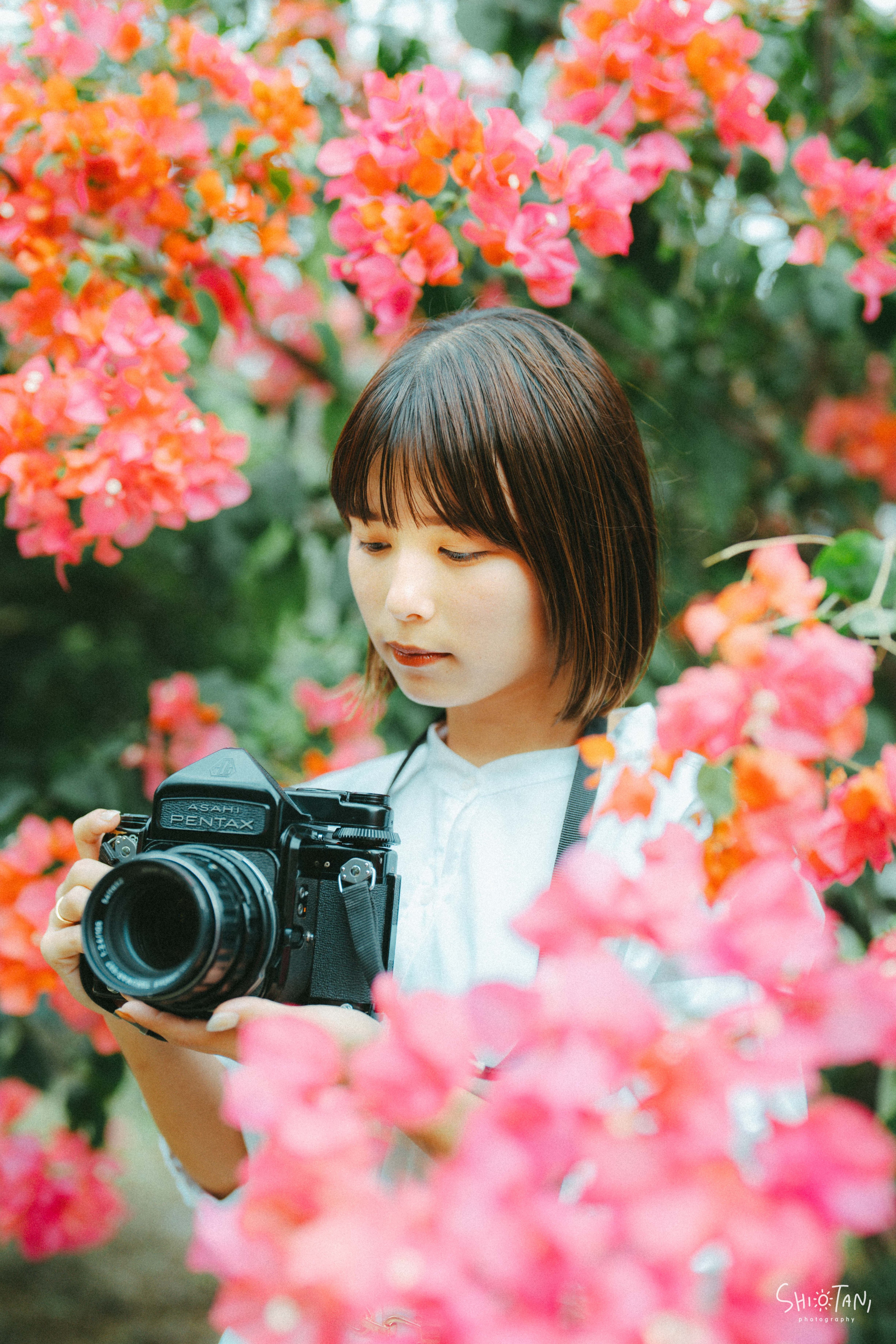中判フィルム始めました PENTAX67 レビュー その1|takumi shiotani 中判フィルム始めました PENTAX67 レビュー その1|takumi shiotani