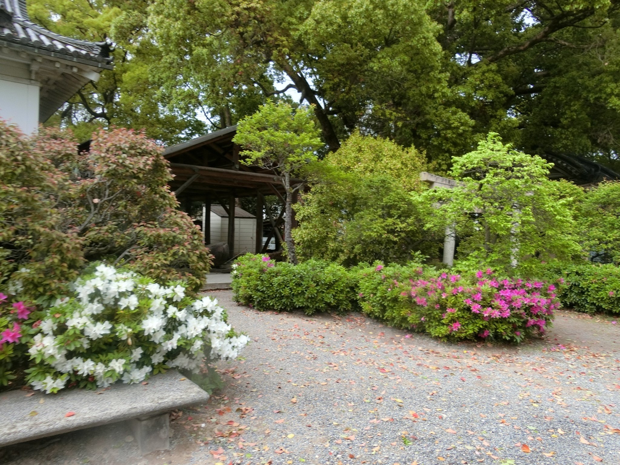 菅原道真は土師氏「道明寺/道明寺天満宮」日本で7体のレア国宝