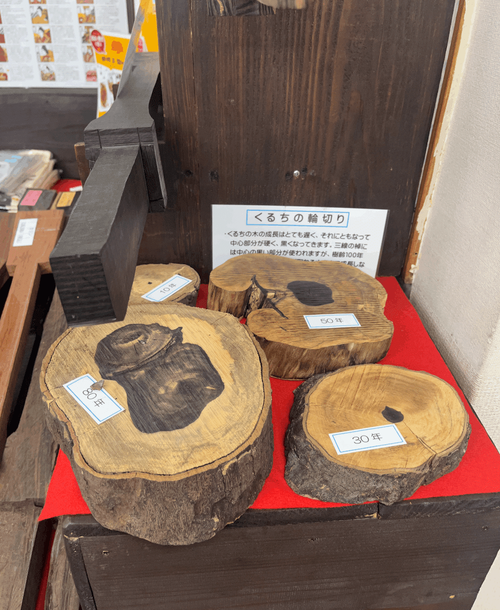 沖縄三線(原木) 鋭き