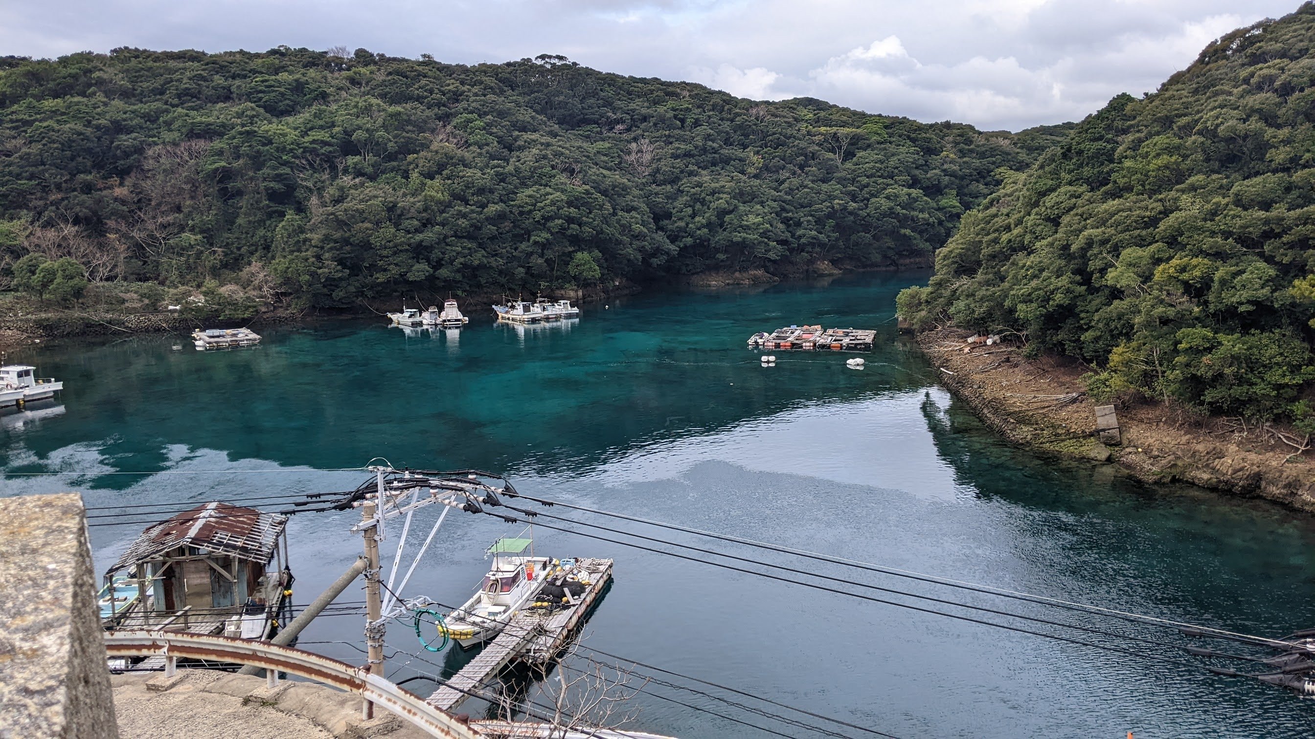 五島長崎の旅③有川から福江島へ｜猫好きのやきとり屋