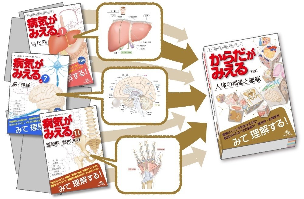 Amazon.co.jp: 病気がみえる vol.1vol.15 全巻セット品 : おもちゃ