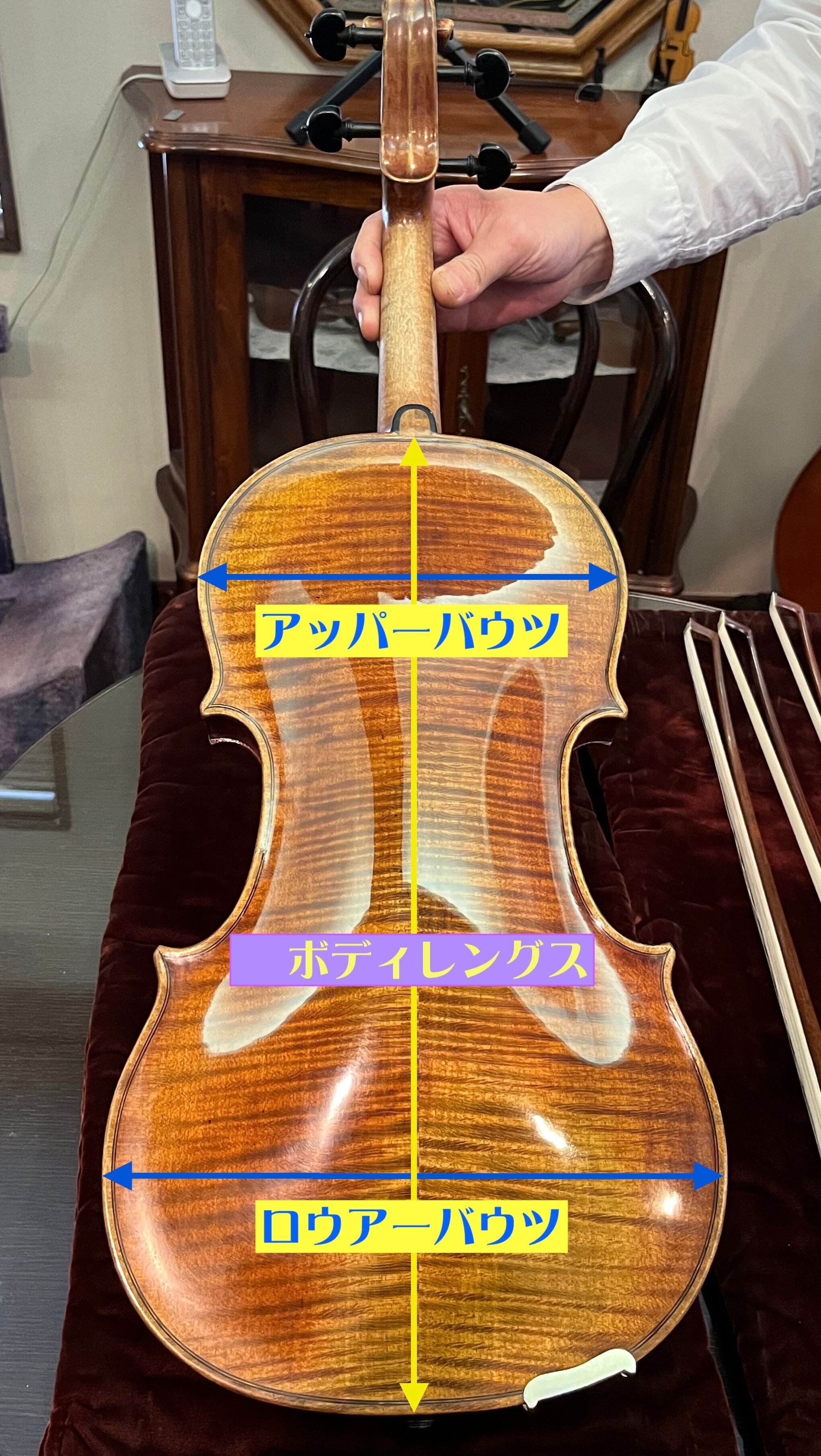 ヴィオラケース問題｜Ralatalk