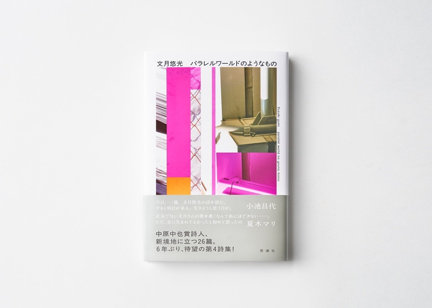 詩をどう読むか／テリー・イーグルトン, 川本 皓嗣｜人文・社会
