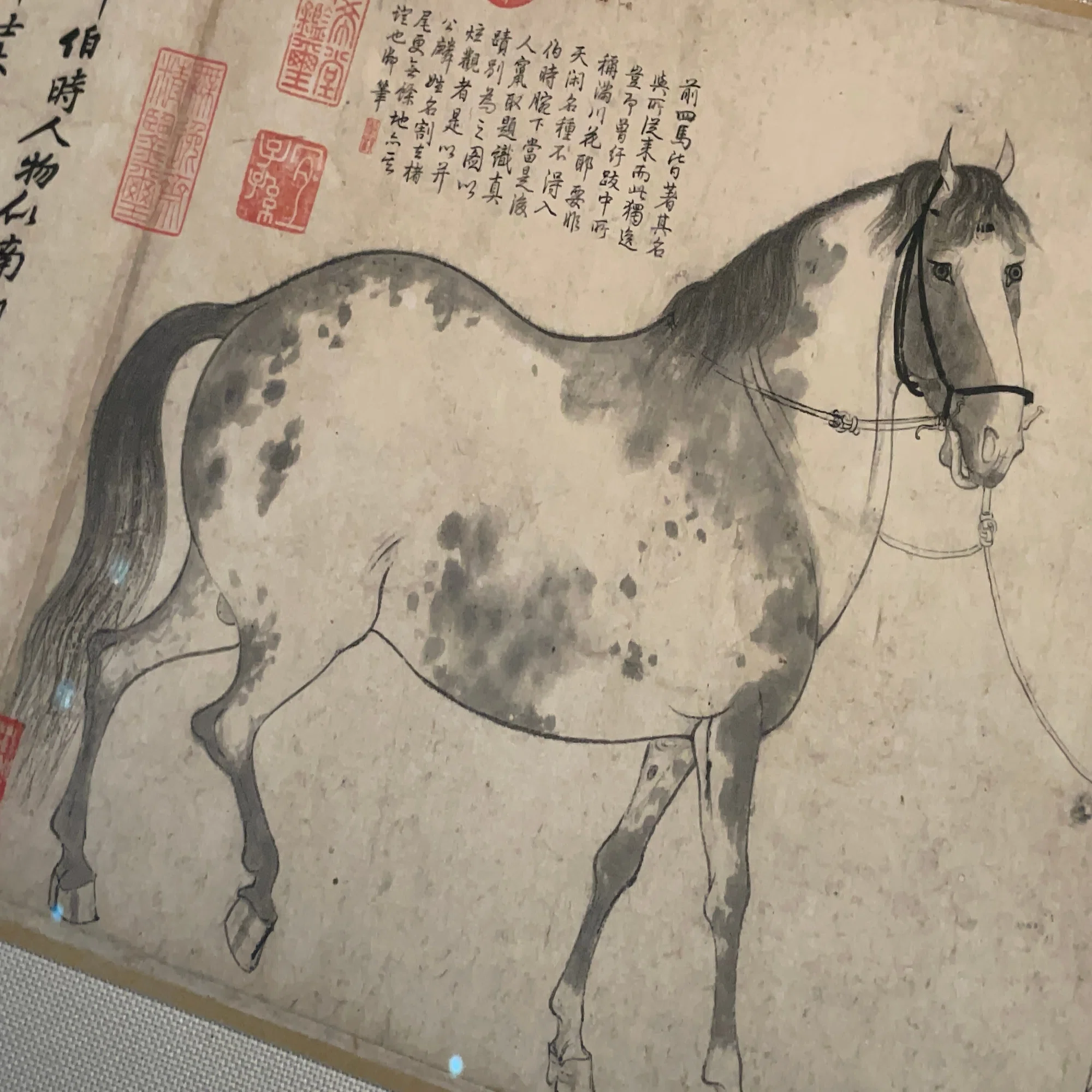国宝に指定されてもおかしくない？ 中国・北宋時代に描かれた《五馬図 