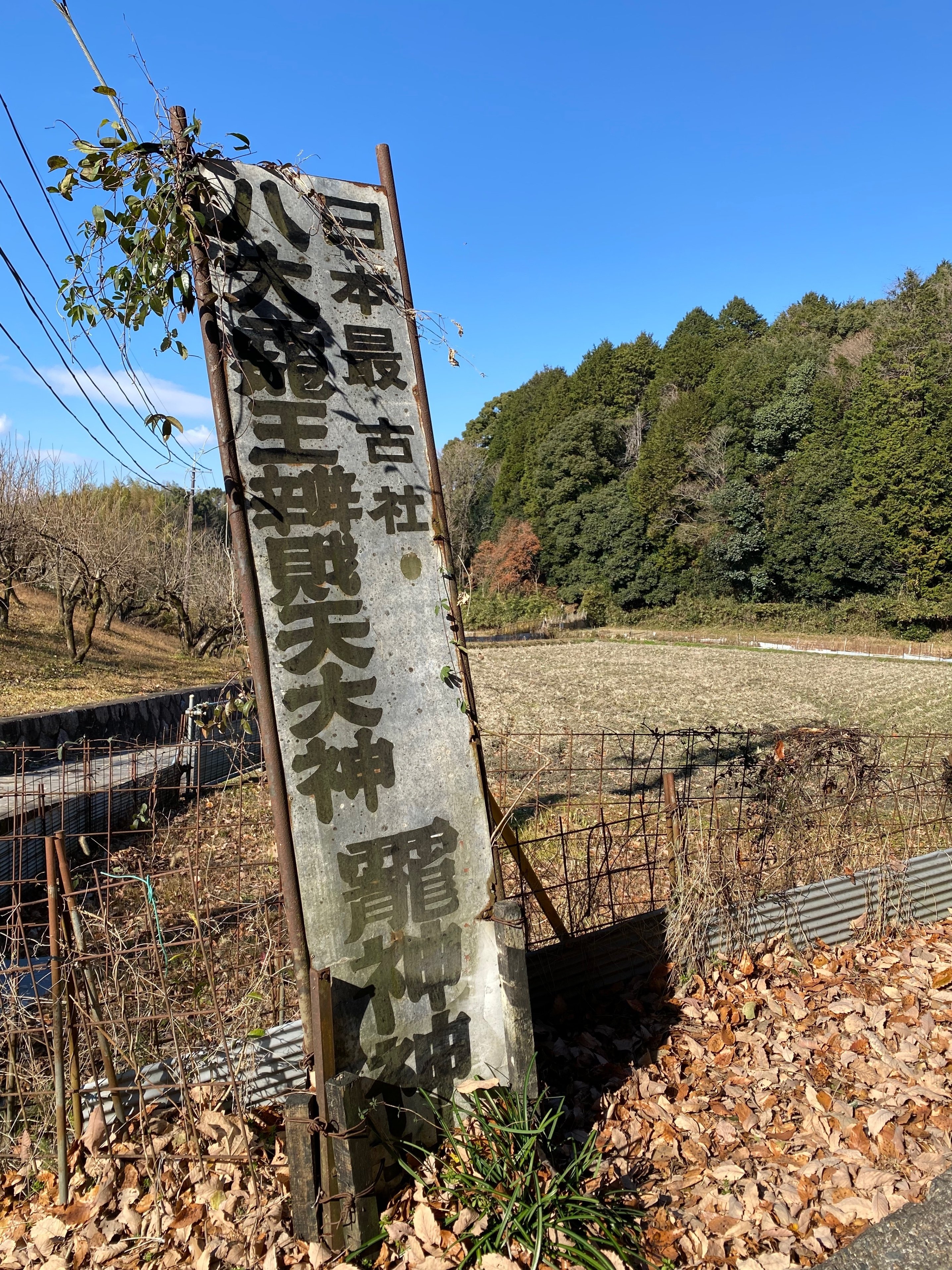 奈良に行くなら［30］〜八大龍王辨財天大神 龗神神社編｜伊藤ミユキ