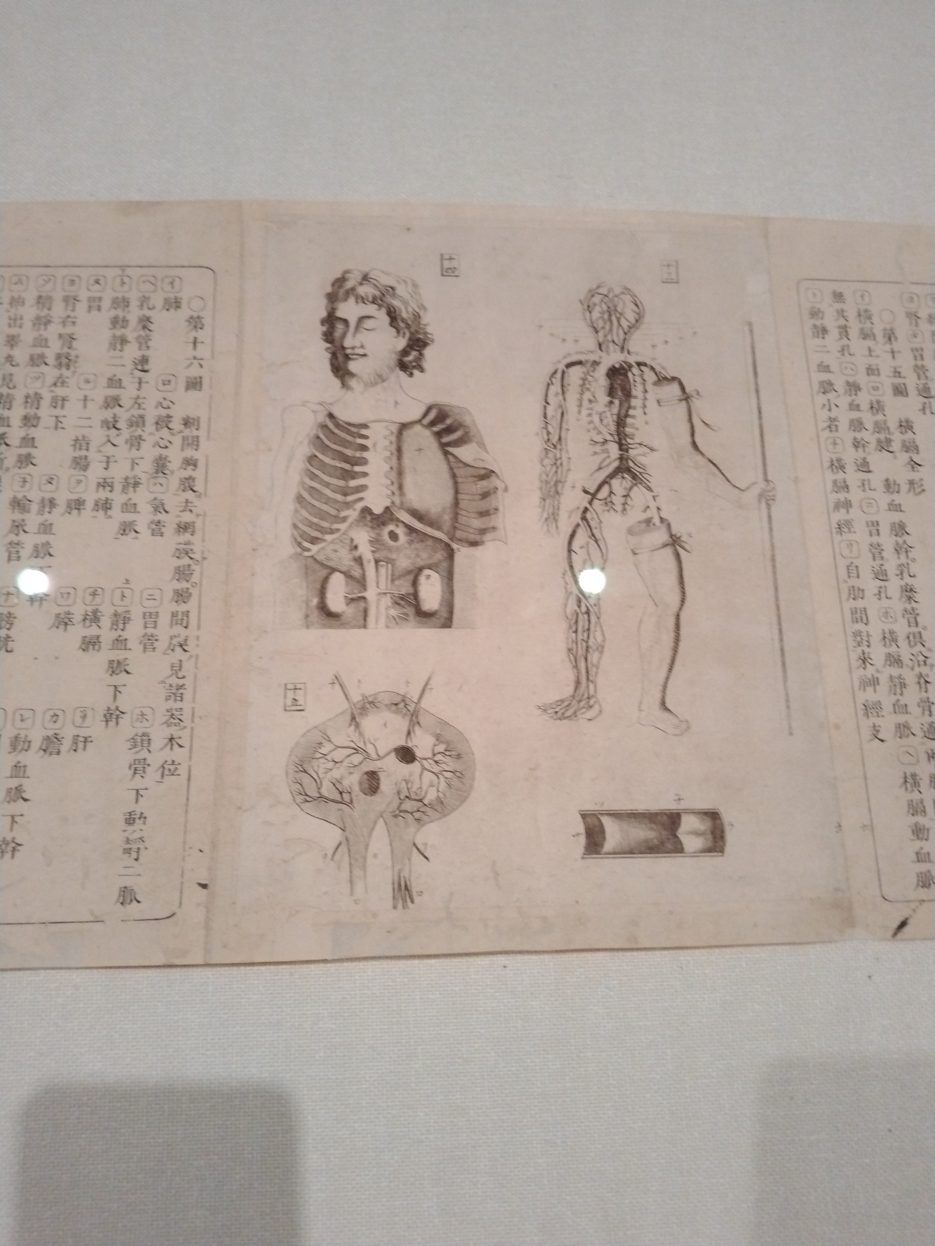 亜欧堂田善-江戸の洋風画家・創造の軌跡(千葉市美術館)｜eneo