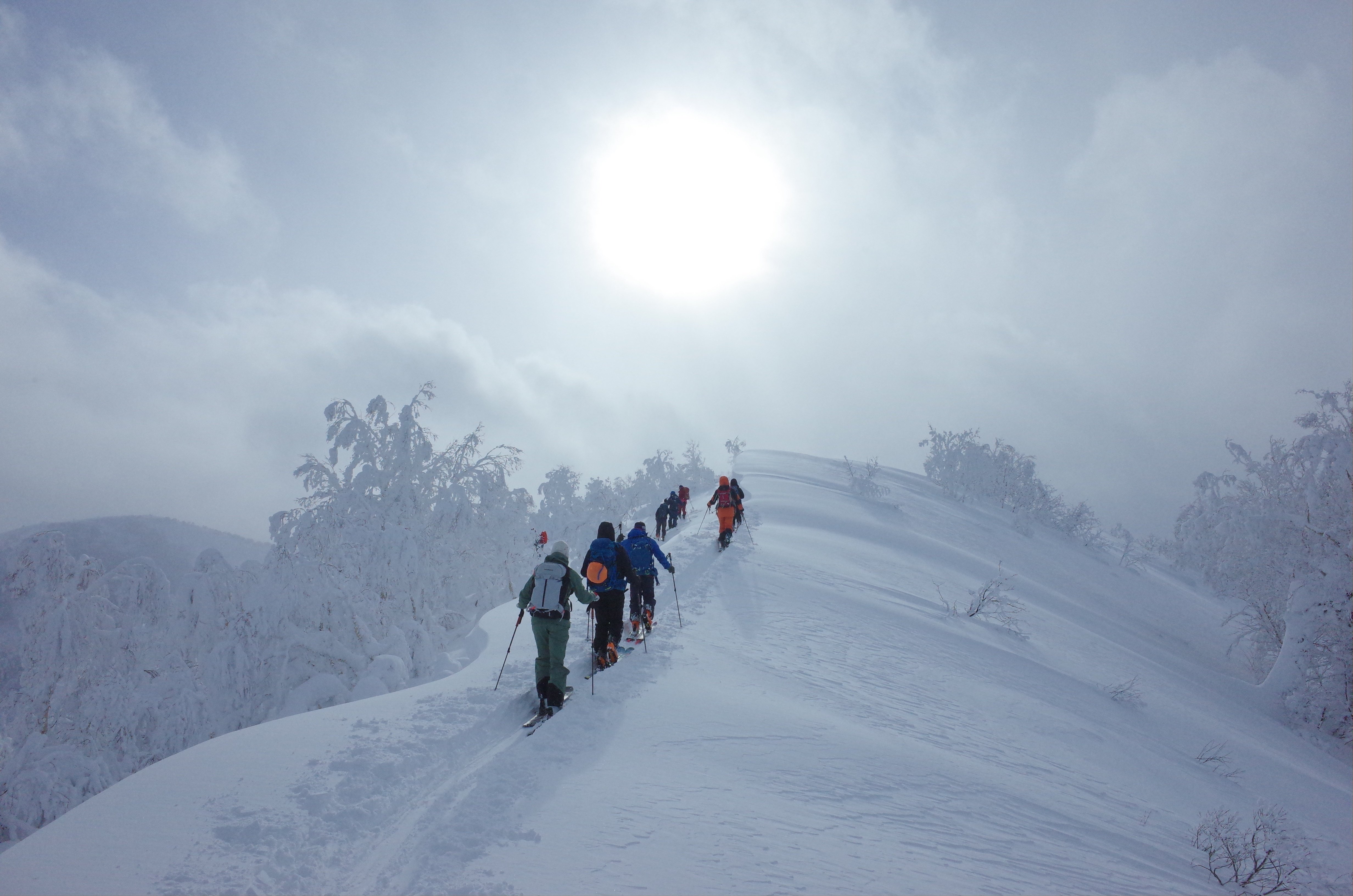 滑って】年越し北海道バックカントリー：パウダーキャンプという楽しみ