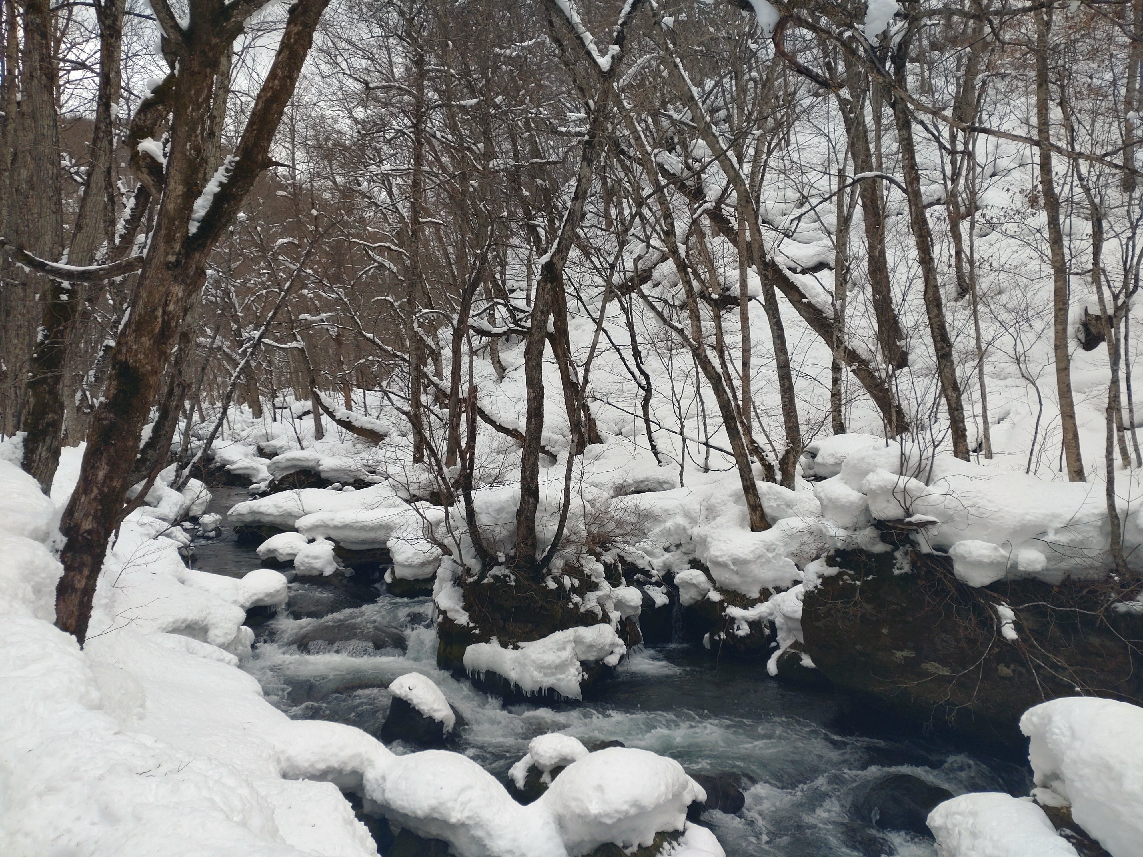 旅行記_冬の奥入瀬編】冬だからこそ見える景色を味わいに。 in 青森
