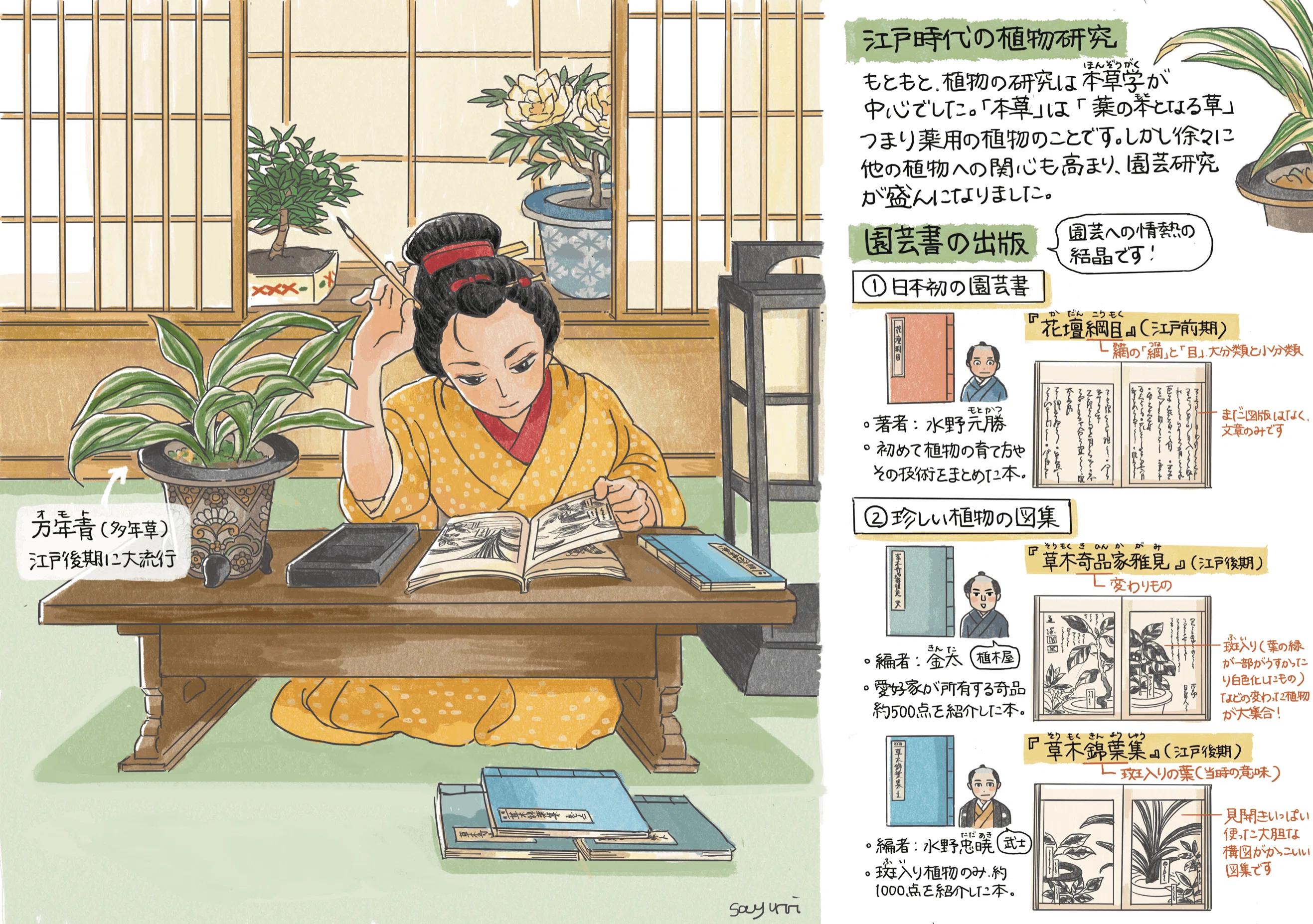 【中古】植物文化人物事典?江戸から近現代・植物に魅せられた人々 植物文化人物事典 : 江戸から近現代・植物に魅せられた人々 【公式通販】