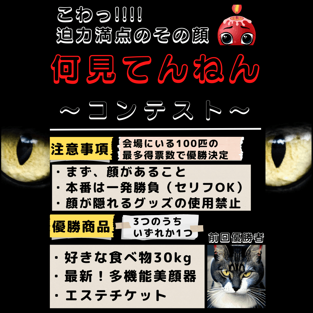 何見てんねん』コンテスト｜にぃに22