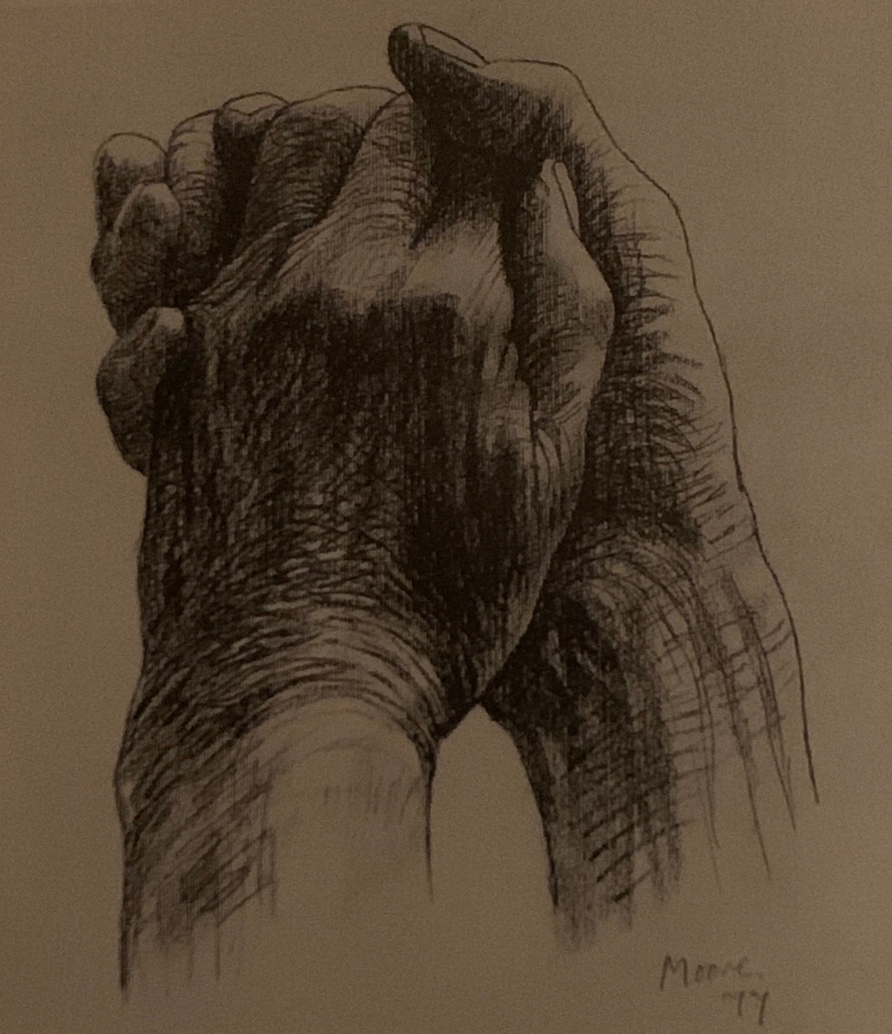 この手は何を語ろうとしているのか｜もちもち