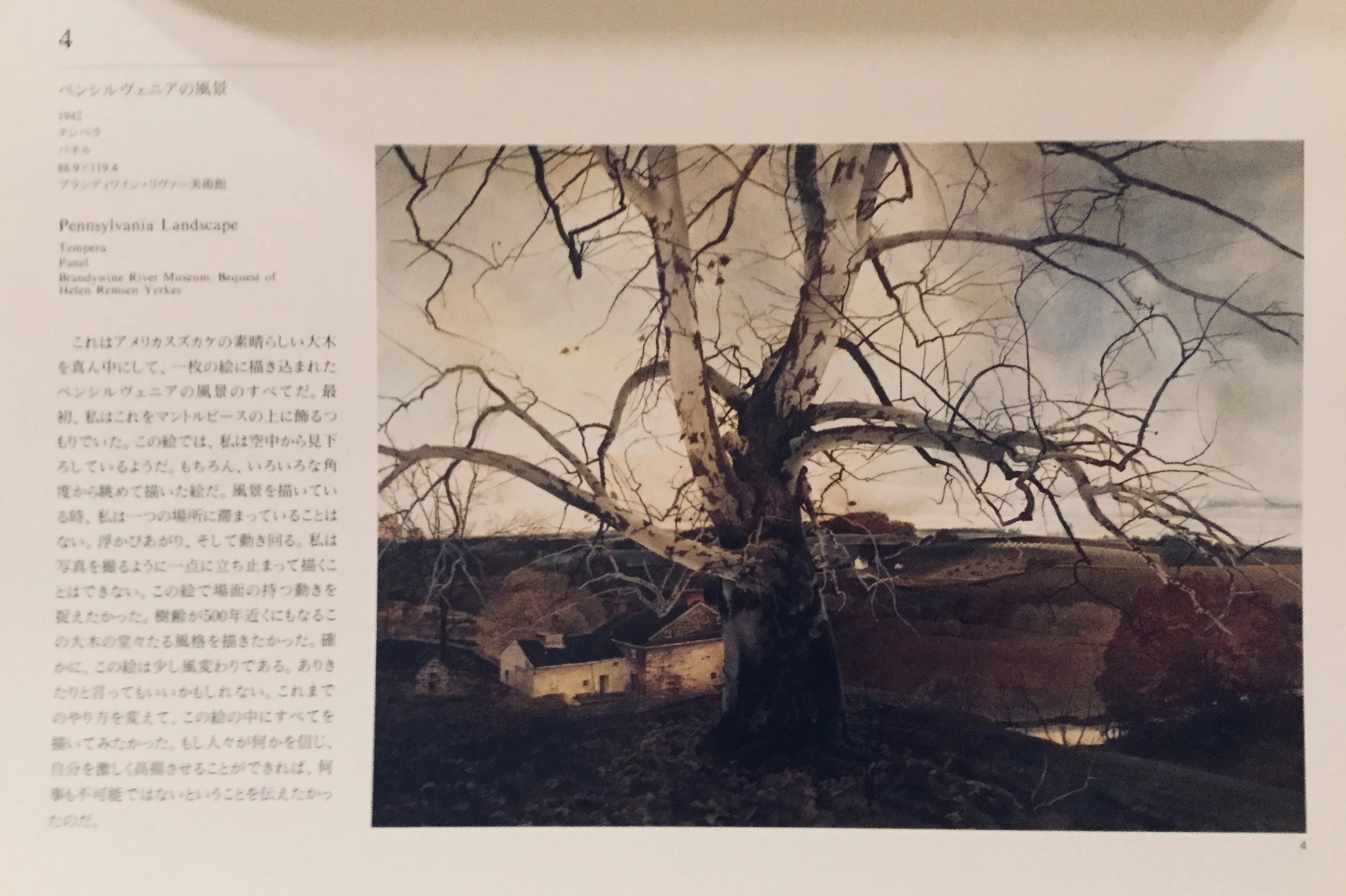 ふたつのワイエス展｜桂田祐介