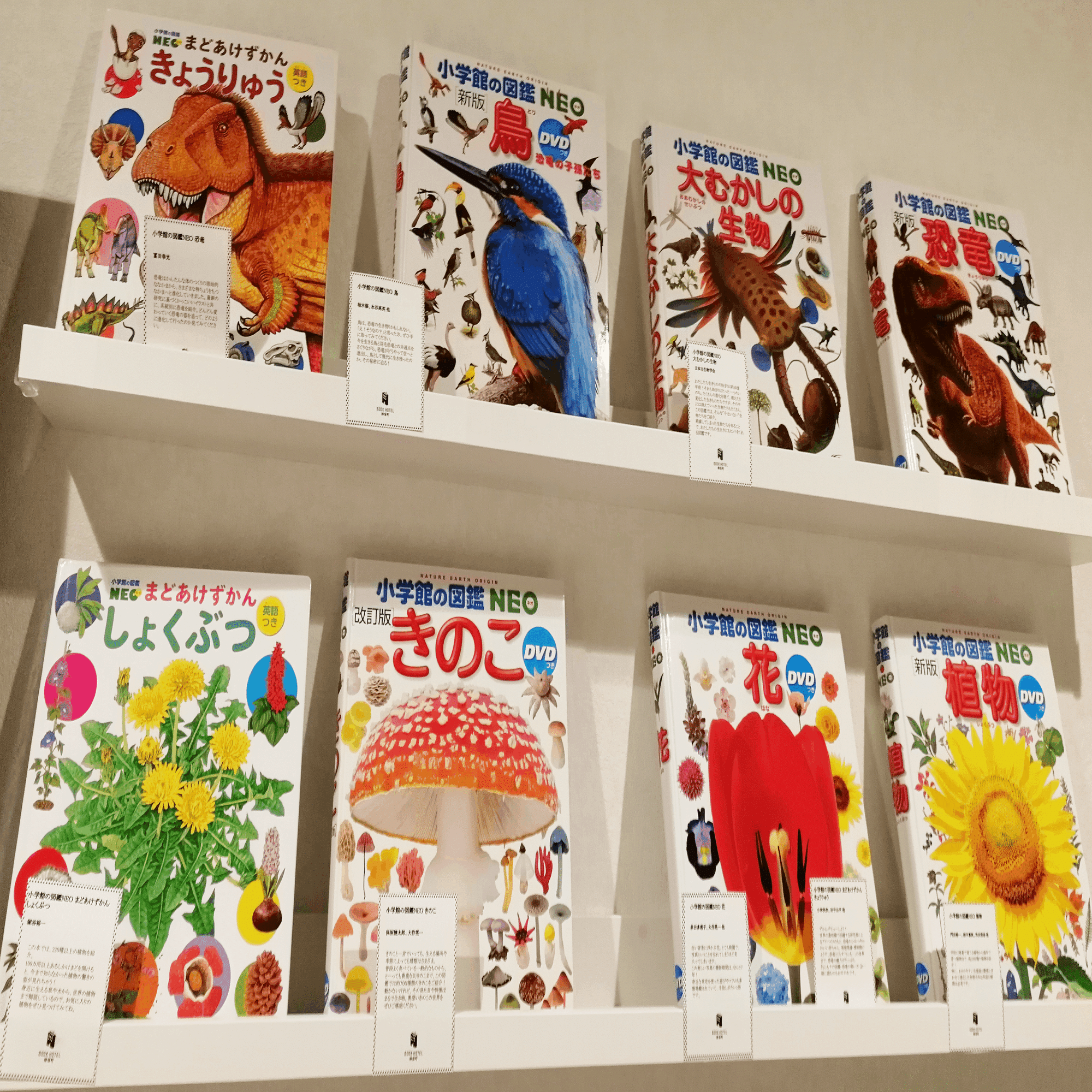 小学館の図鑑NEO 生きもの図鑑ルーム」へ泊まってみた！レポ｜BOOK HOTEL