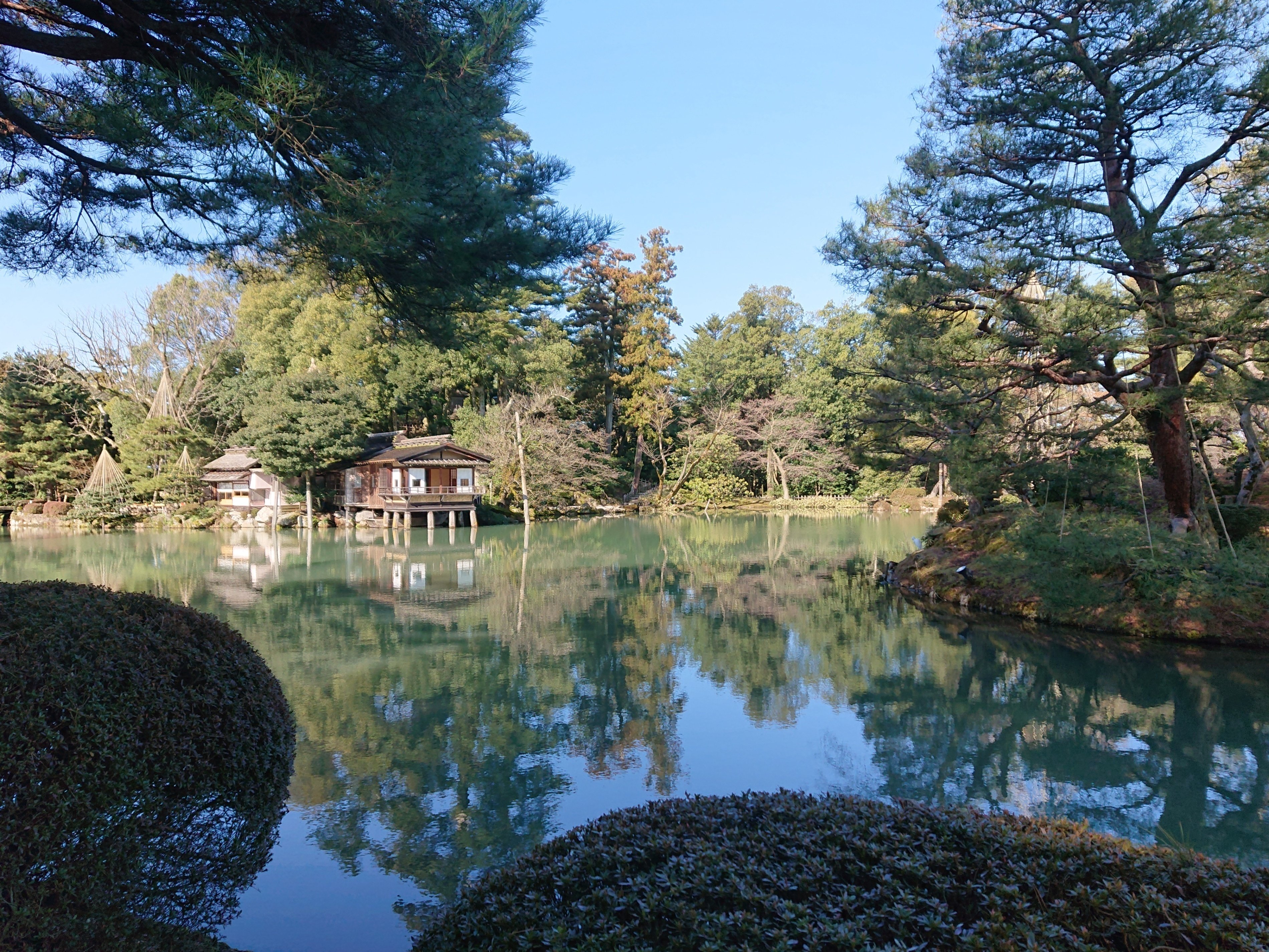 兼六園は大迷路ですか❓｜むー